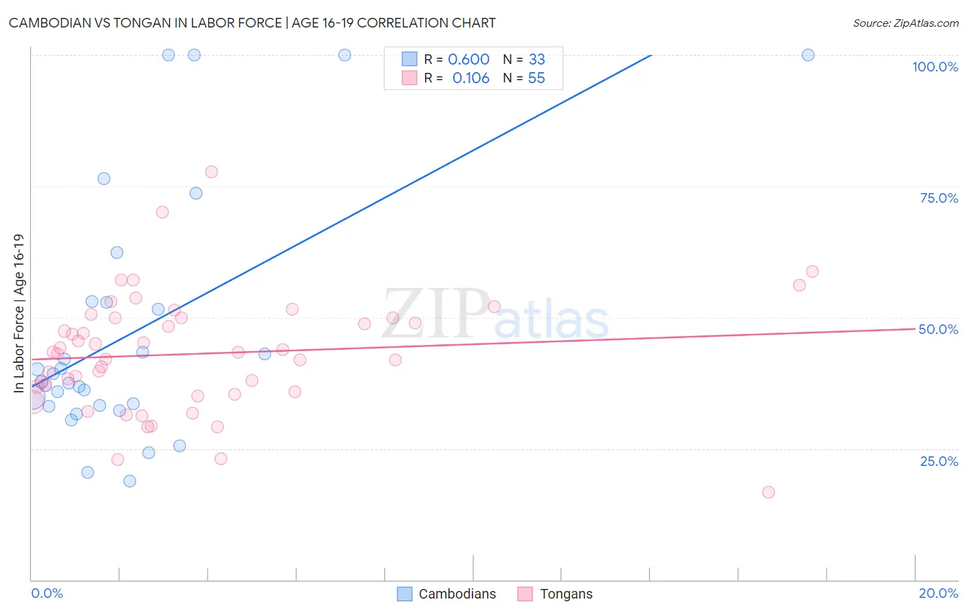 Cambodian vs Tongan In Labor Force | Age 16-19
