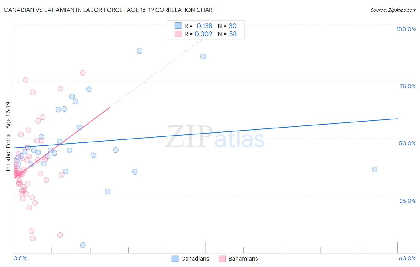 Canadian vs Bahamian In Labor Force | Age 16-19