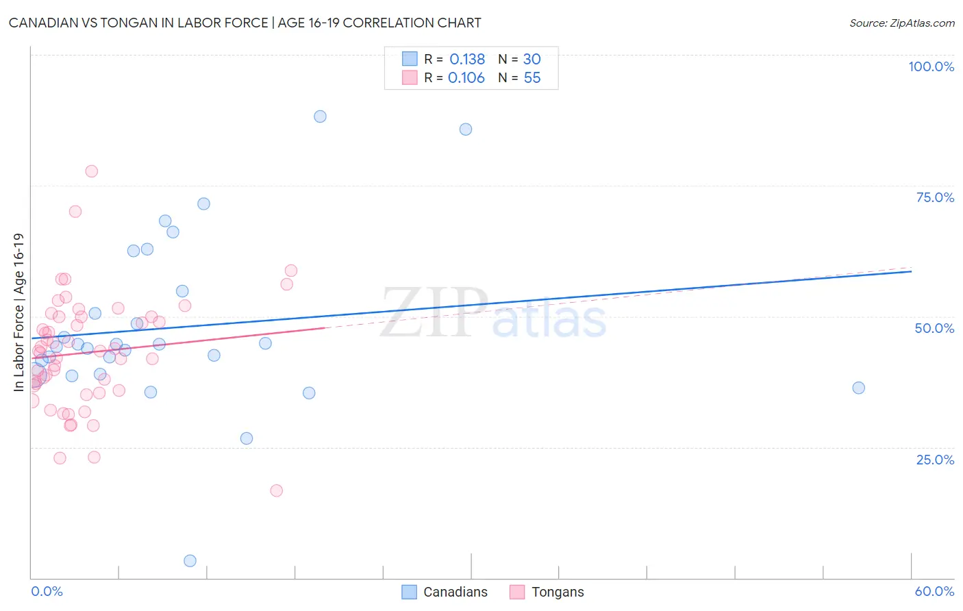 Canadian vs Tongan In Labor Force | Age 16-19