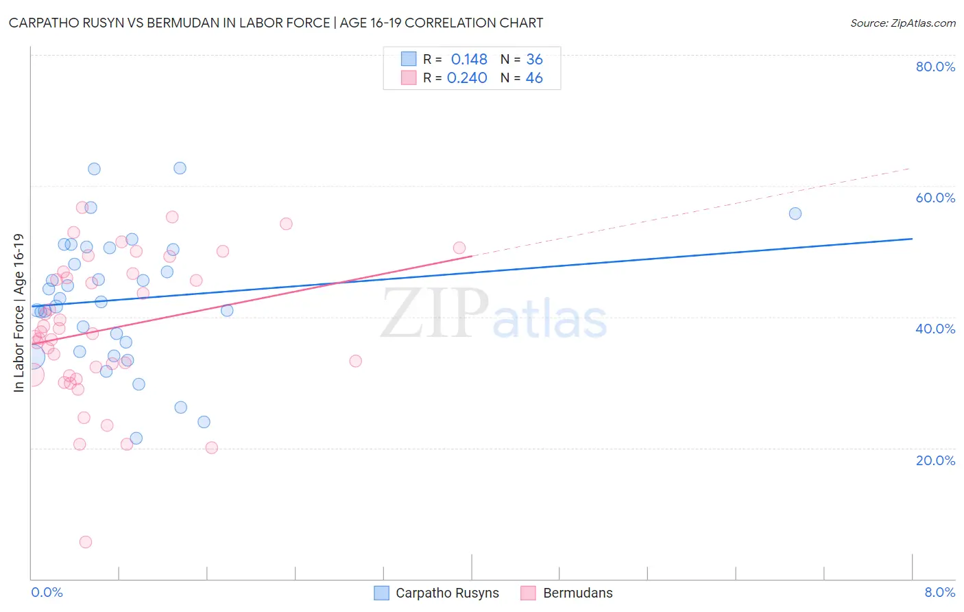 Carpatho Rusyn vs Bermudan In Labor Force | Age 16-19
