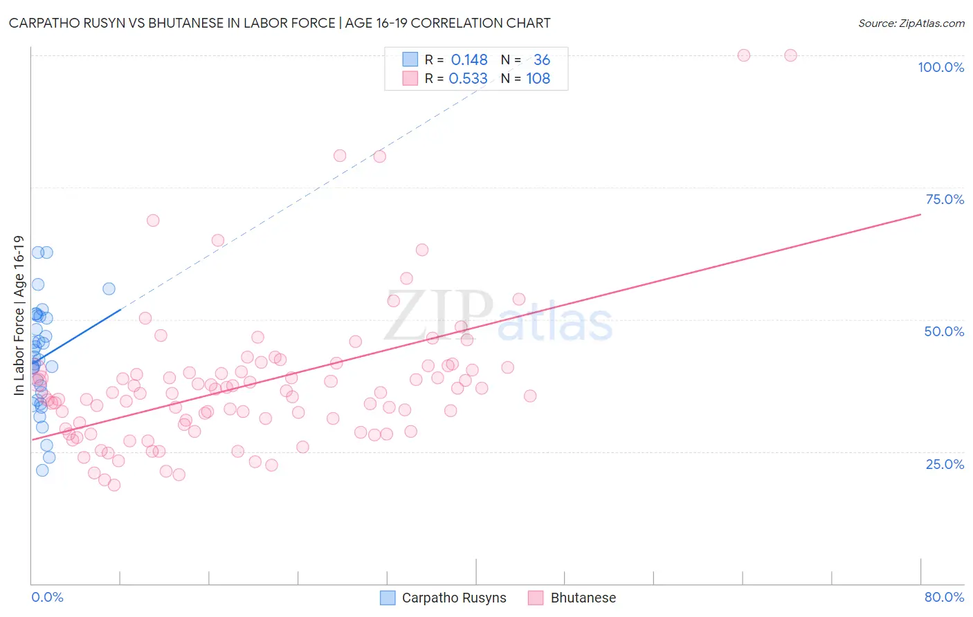 Carpatho Rusyn vs Bhutanese In Labor Force | Age 16-19