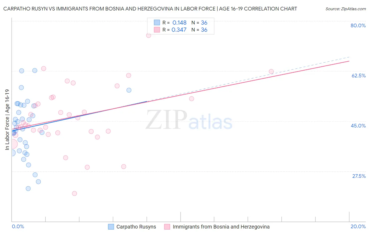 Carpatho Rusyn vs Immigrants from Bosnia and Herzegovina In Labor Force | Age 16-19