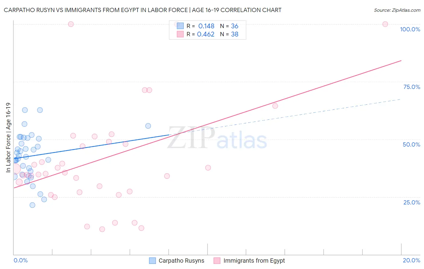 Carpatho Rusyn vs Immigrants from Egypt In Labor Force | Age 16-19