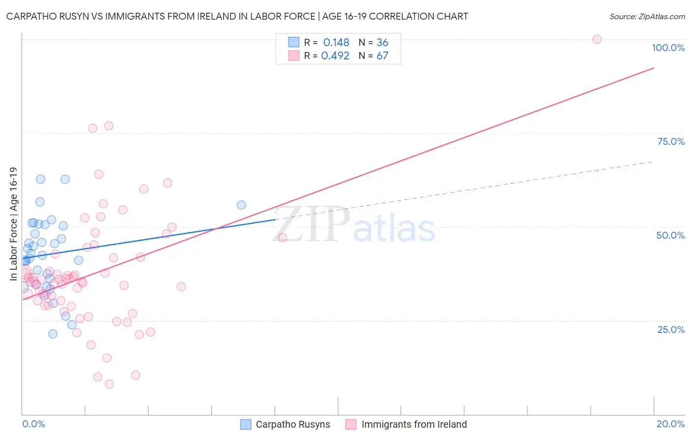 Carpatho Rusyn vs Immigrants from Ireland In Labor Force | Age 16-19