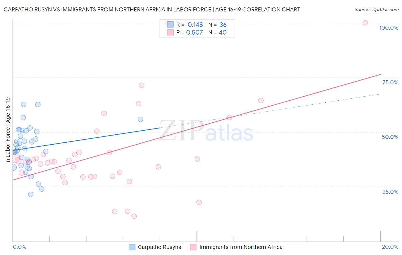 Carpatho Rusyn vs Immigrants from Northern Africa In Labor Force | Age 16-19