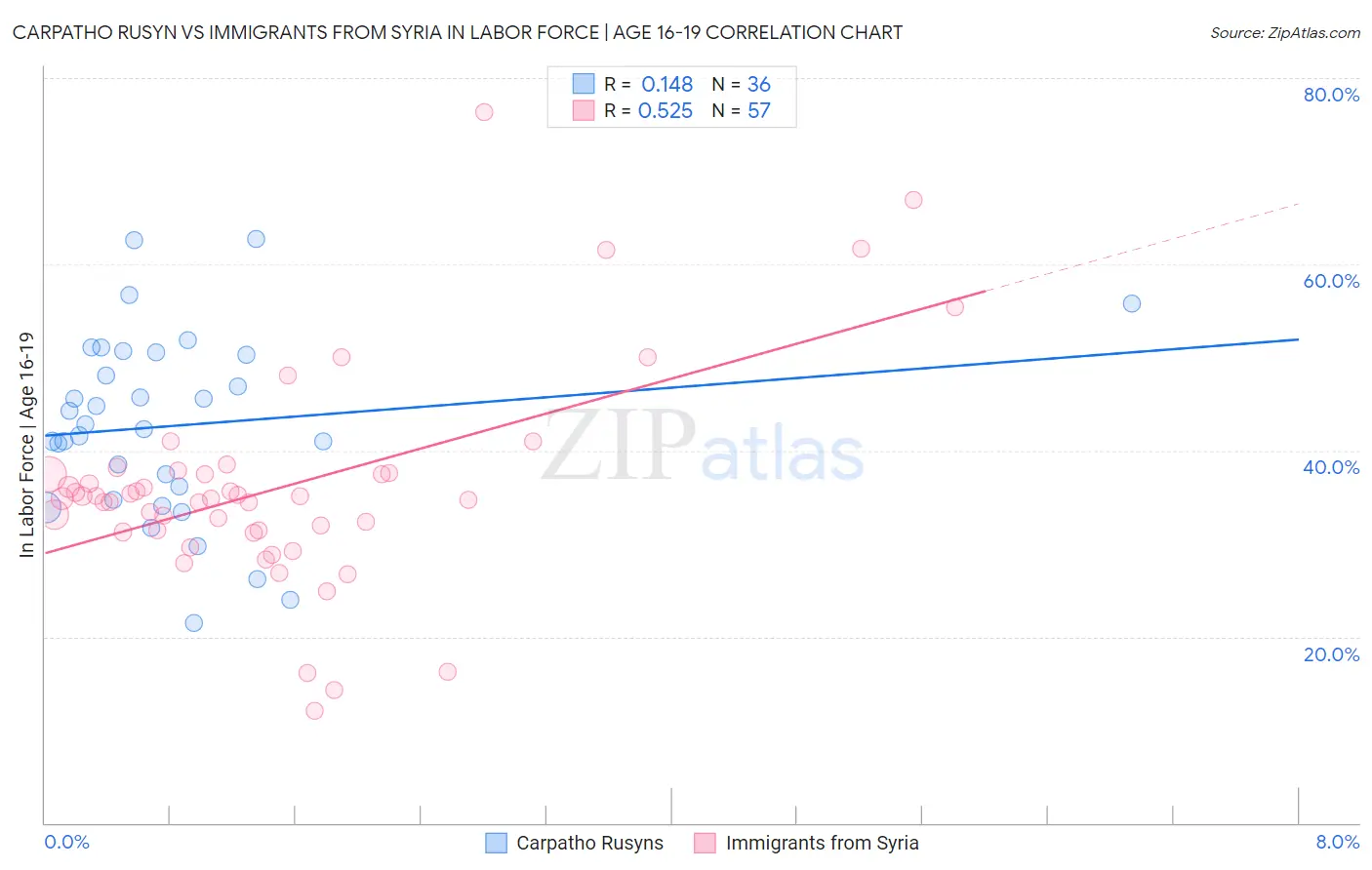Carpatho Rusyn vs Immigrants from Syria In Labor Force | Age 16-19