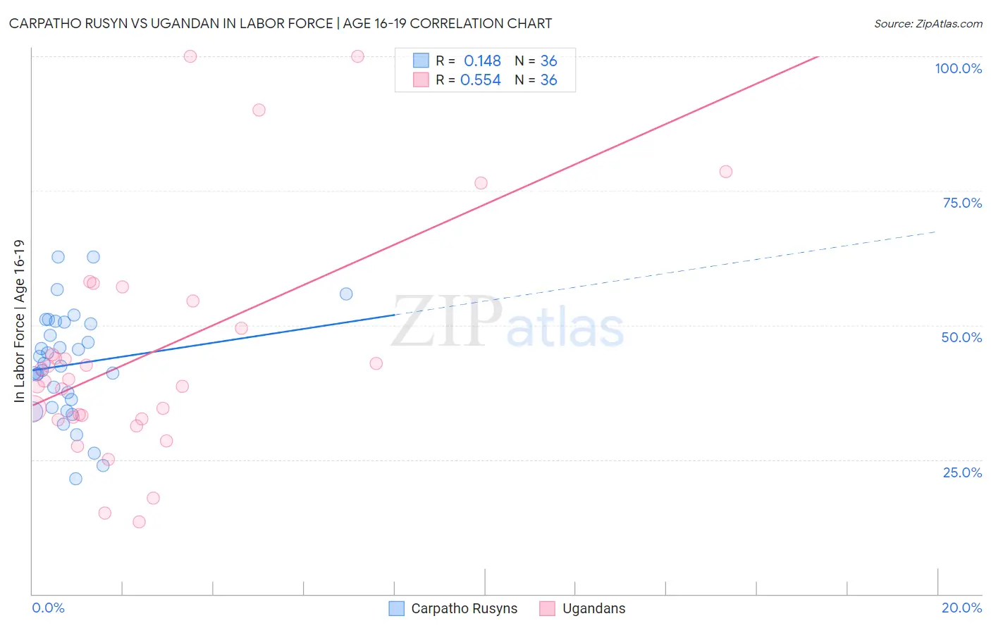 Carpatho Rusyn vs Ugandan In Labor Force | Age 16-19