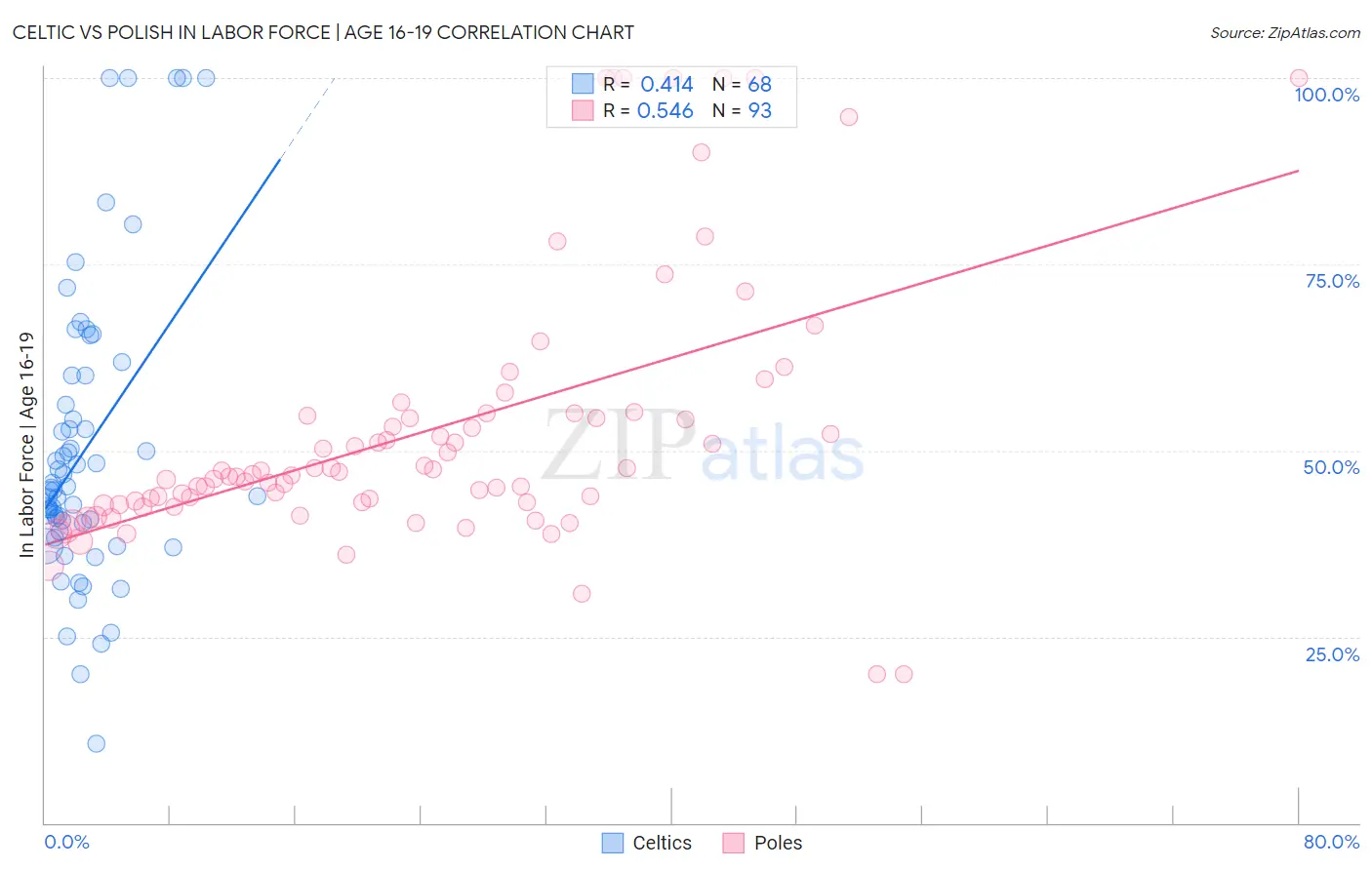 Celtic vs Polish In Labor Force | Age 16-19