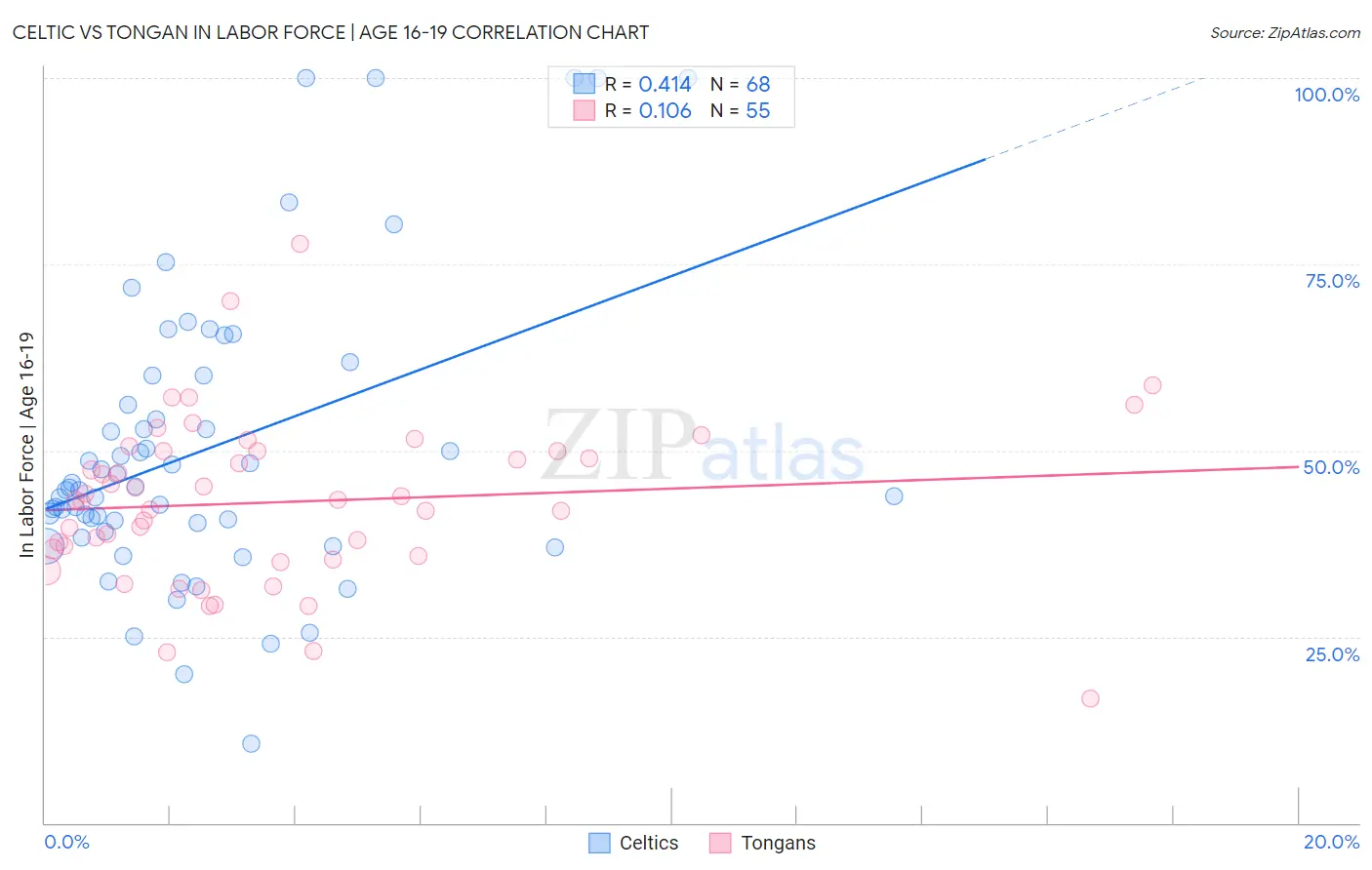 Celtic vs Tongan In Labor Force | Age 16-19