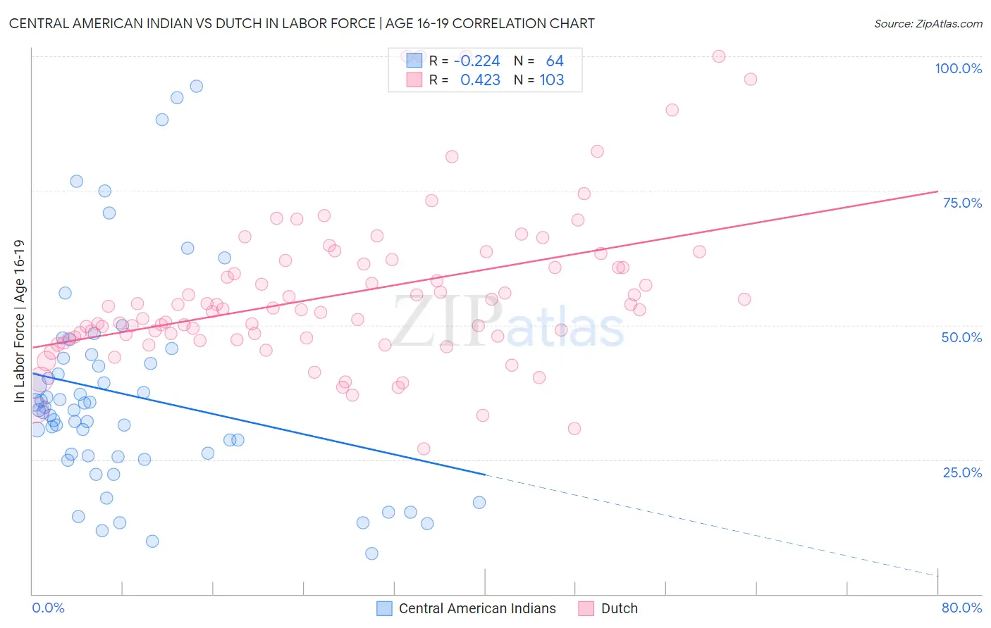 Central American Indian vs Dutch In Labor Force | Age 16-19