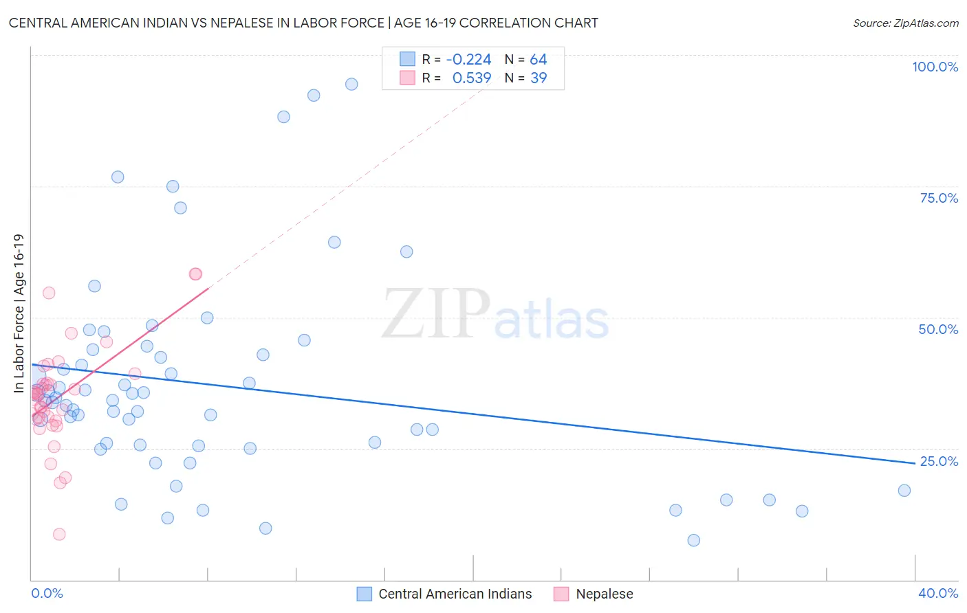 Central American Indian vs Nepalese In Labor Force | Age 16-19