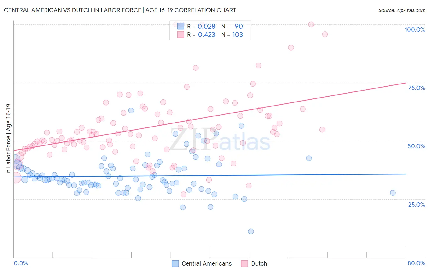 Central American vs Dutch In Labor Force | Age 16-19