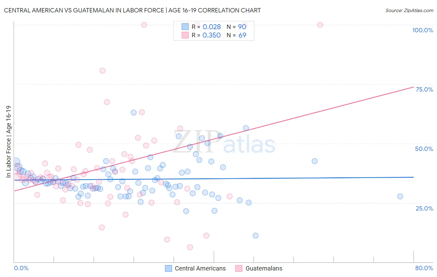 Central American vs Guatemalan In Labor Force | Age 16-19