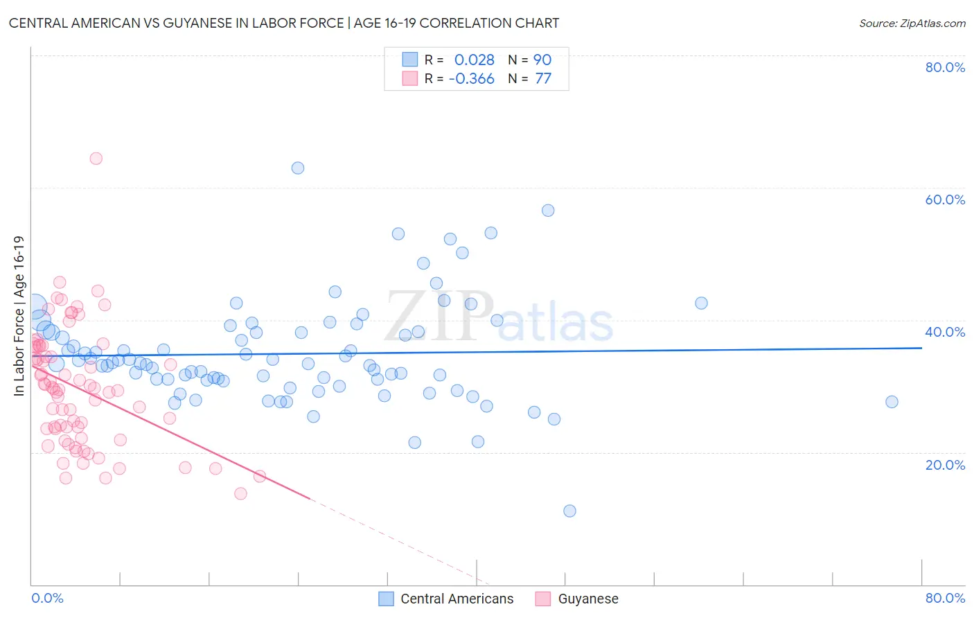 Central American vs Guyanese In Labor Force | Age 16-19