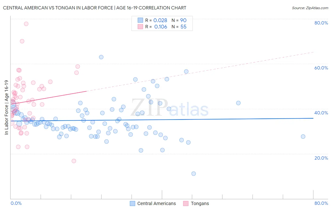 Central American vs Tongan In Labor Force | Age 16-19