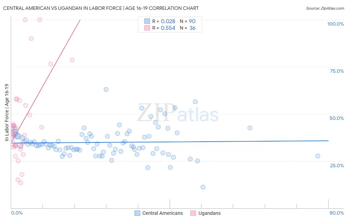 Central American vs Ugandan In Labor Force | Age 16-19