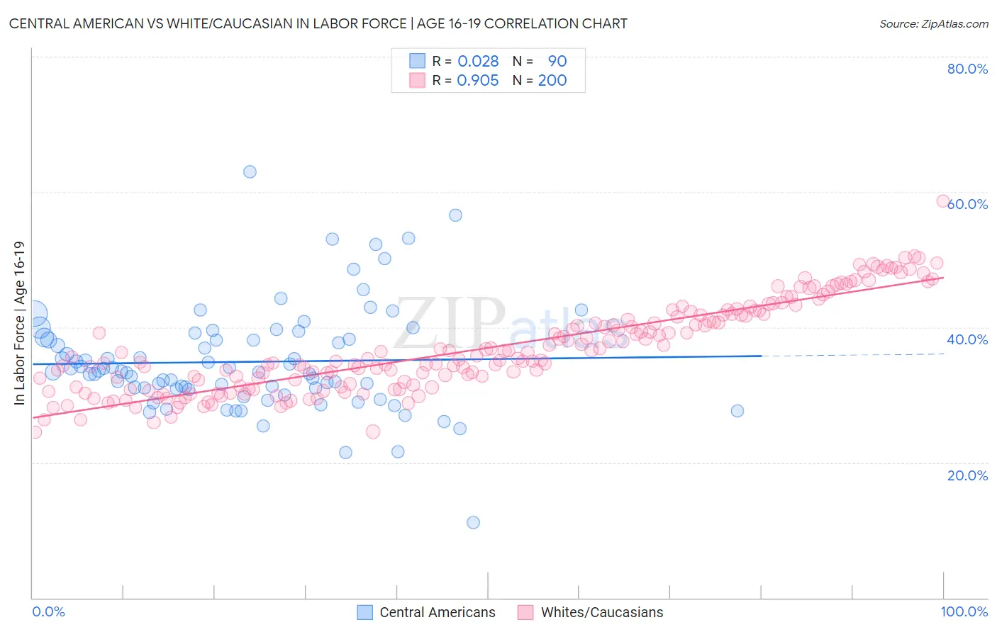 Central American vs White/Caucasian In Labor Force | Age 16-19