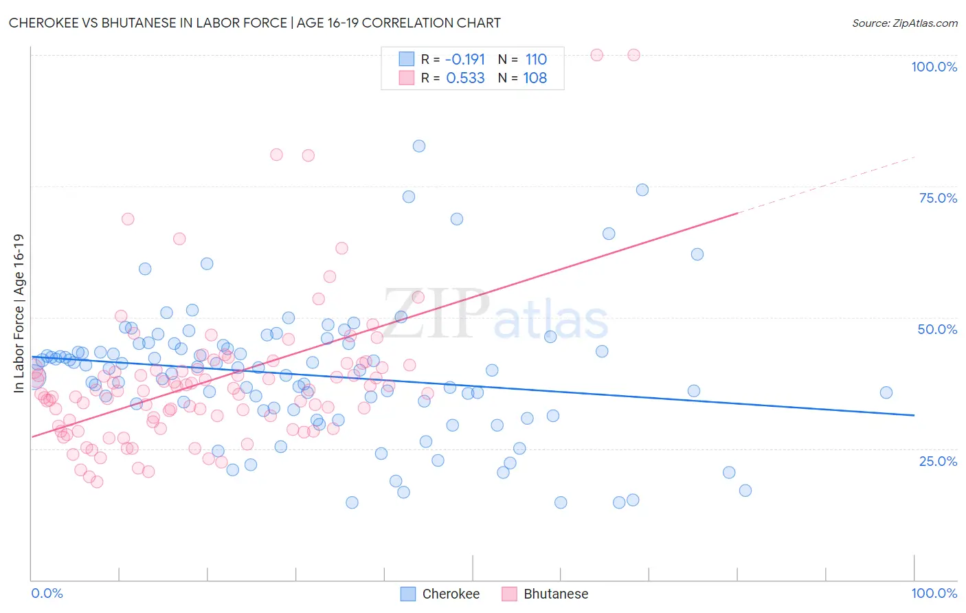 Cherokee vs Bhutanese In Labor Force | Age 16-19