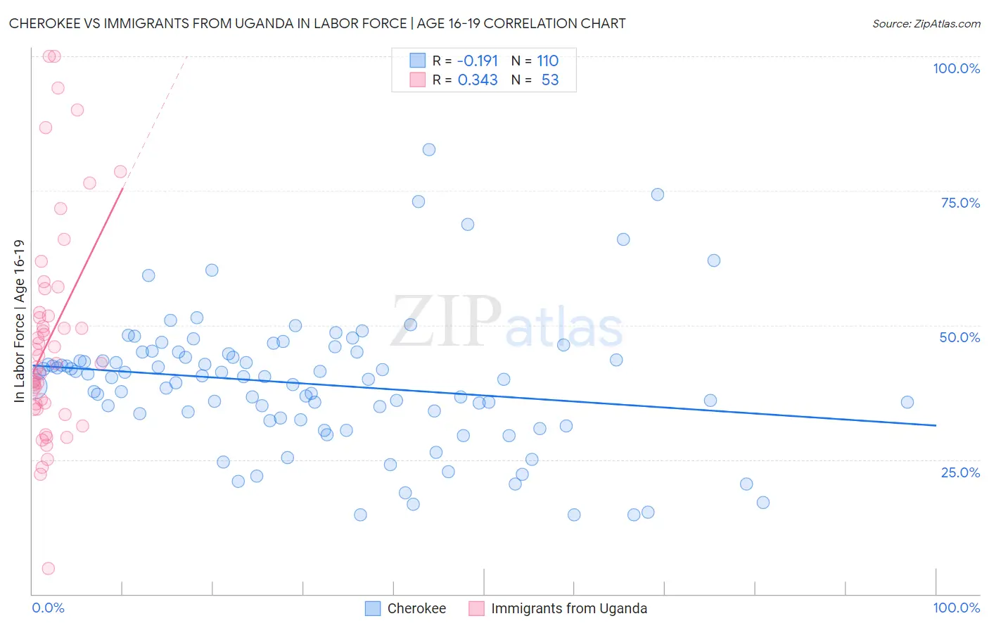 Cherokee vs Immigrants from Uganda In Labor Force | Age 16-19