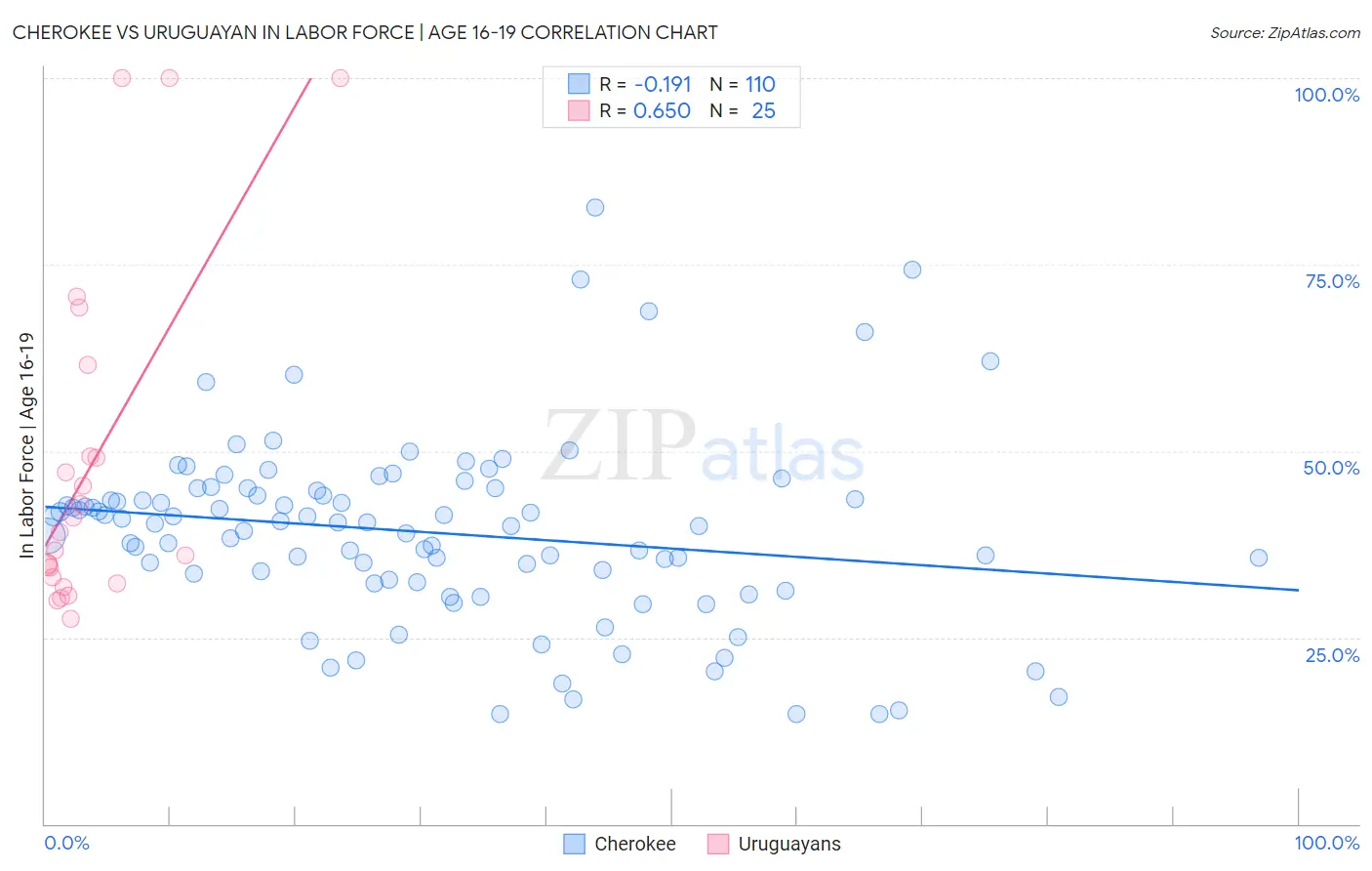 Cherokee vs Uruguayan In Labor Force | Age 16-19