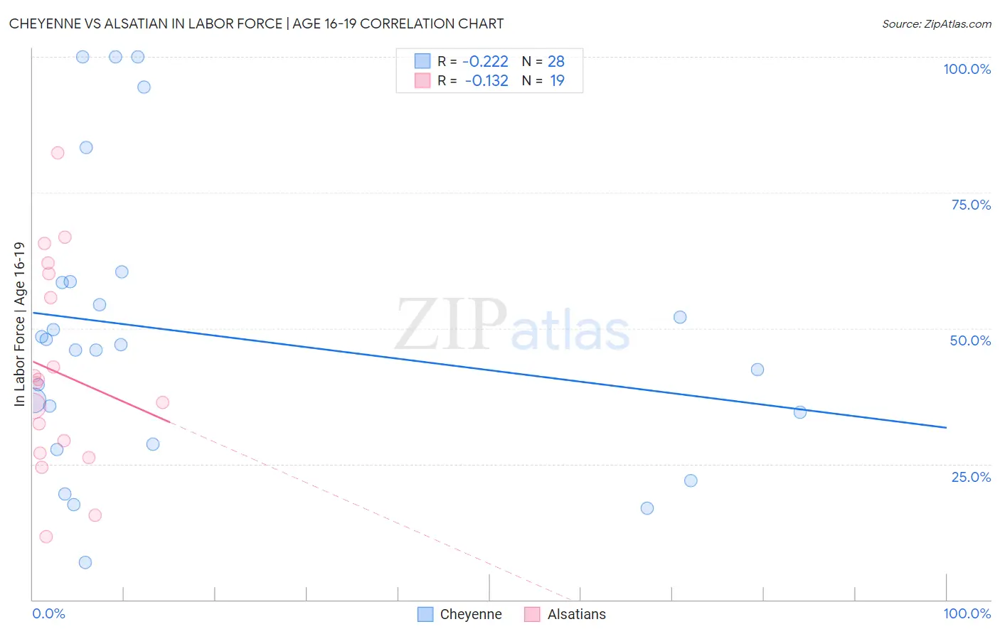 Cheyenne vs Alsatian In Labor Force | Age 16-19