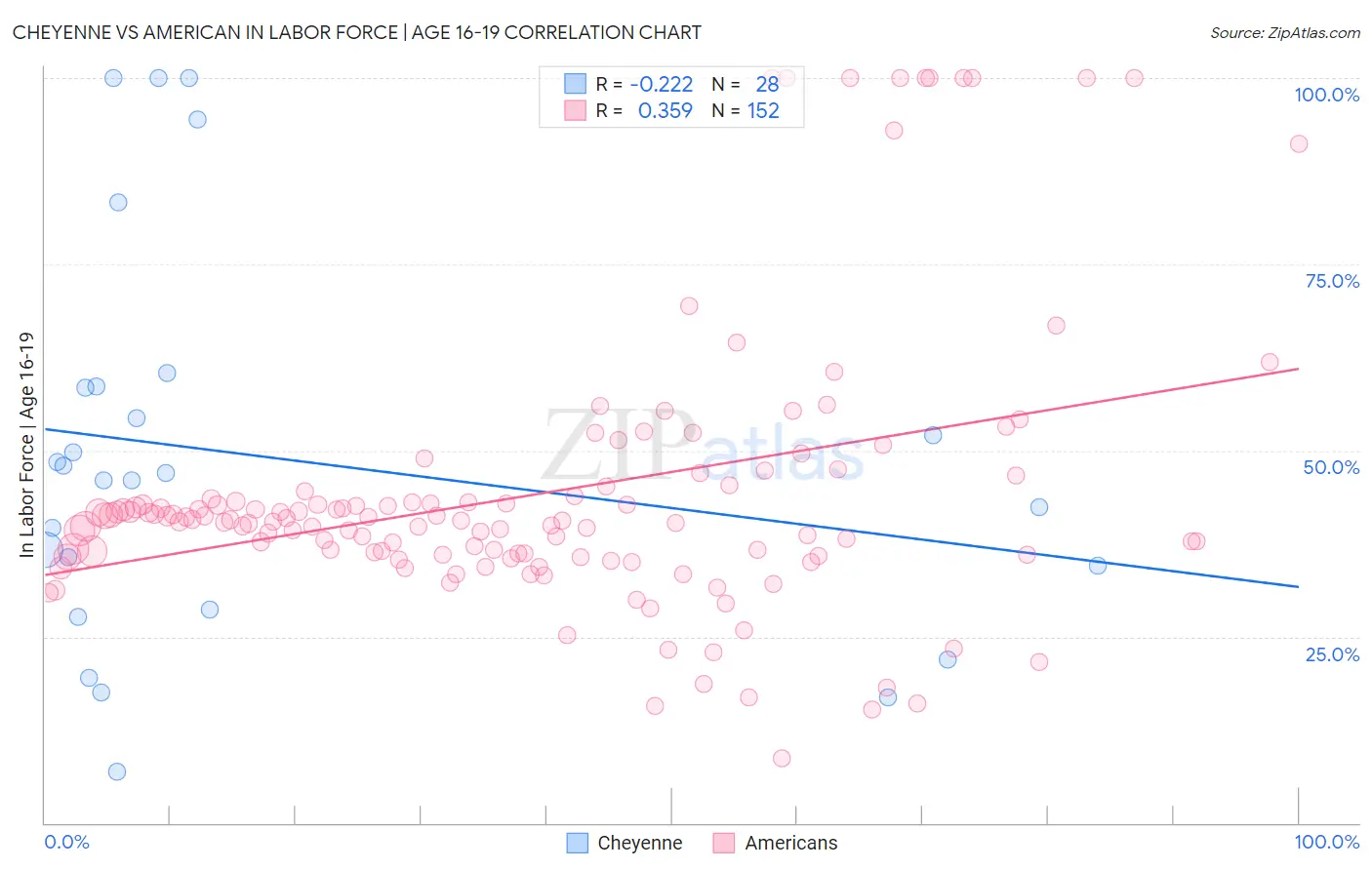 Cheyenne vs American In Labor Force | Age 16-19