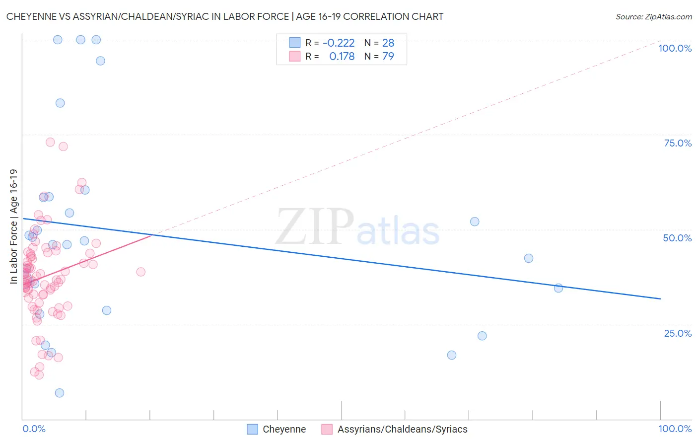 Cheyenne vs Assyrian/Chaldean/Syriac In Labor Force | Age 16-19