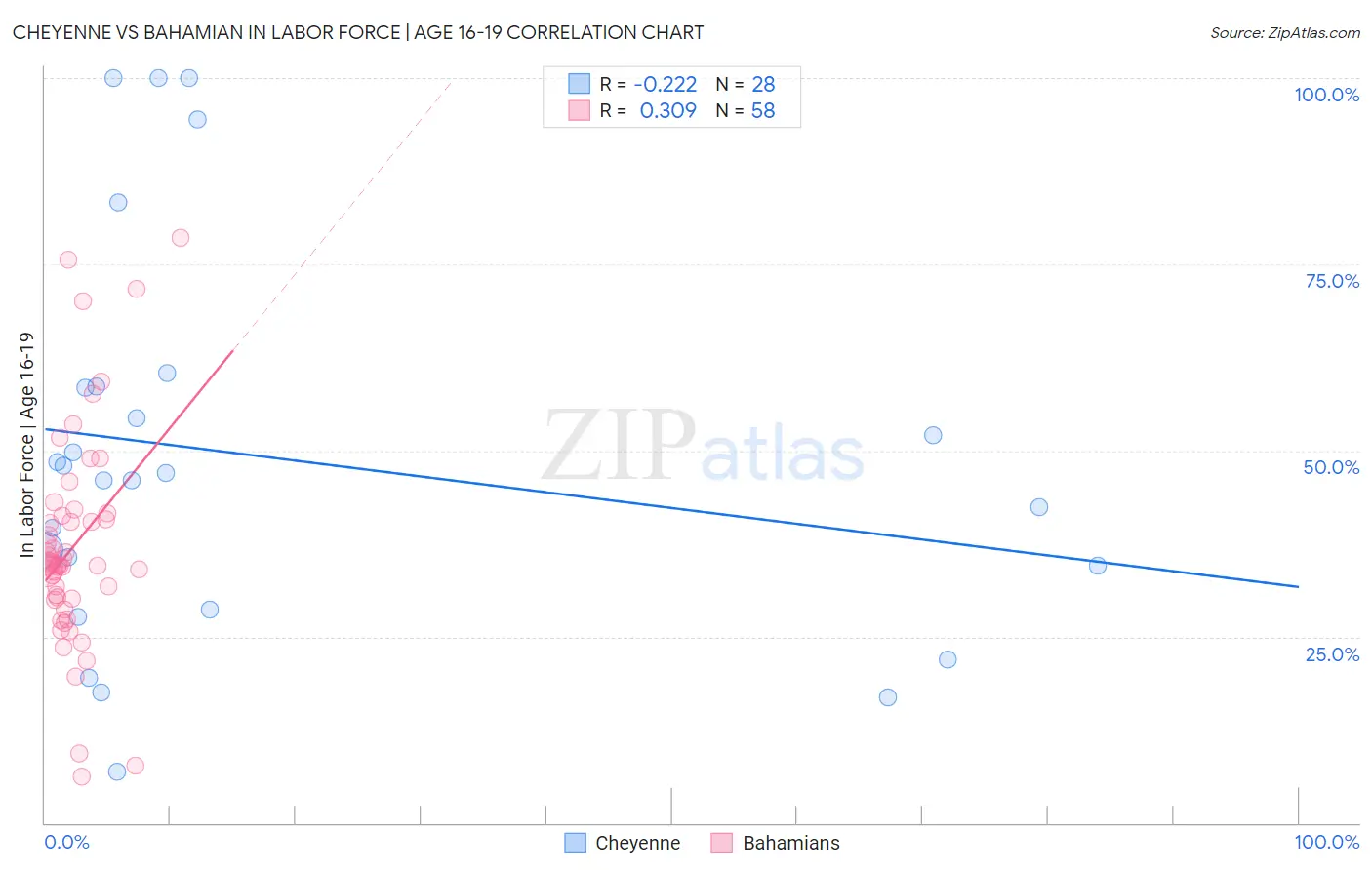 Cheyenne vs Bahamian In Labor Force | Age 16-19