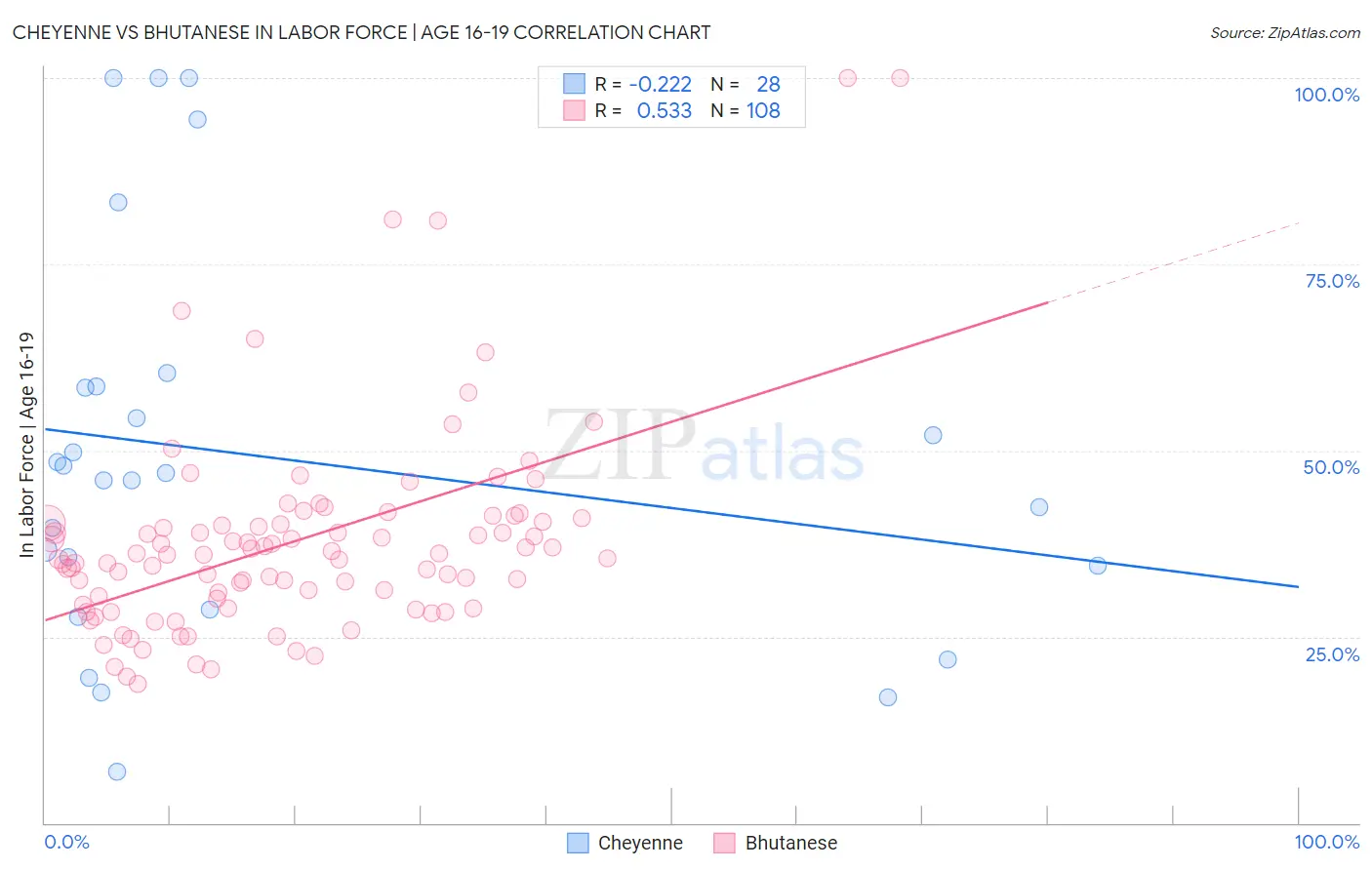 Cheyenne vs Bhutanese In Labor Force | Age 16-19