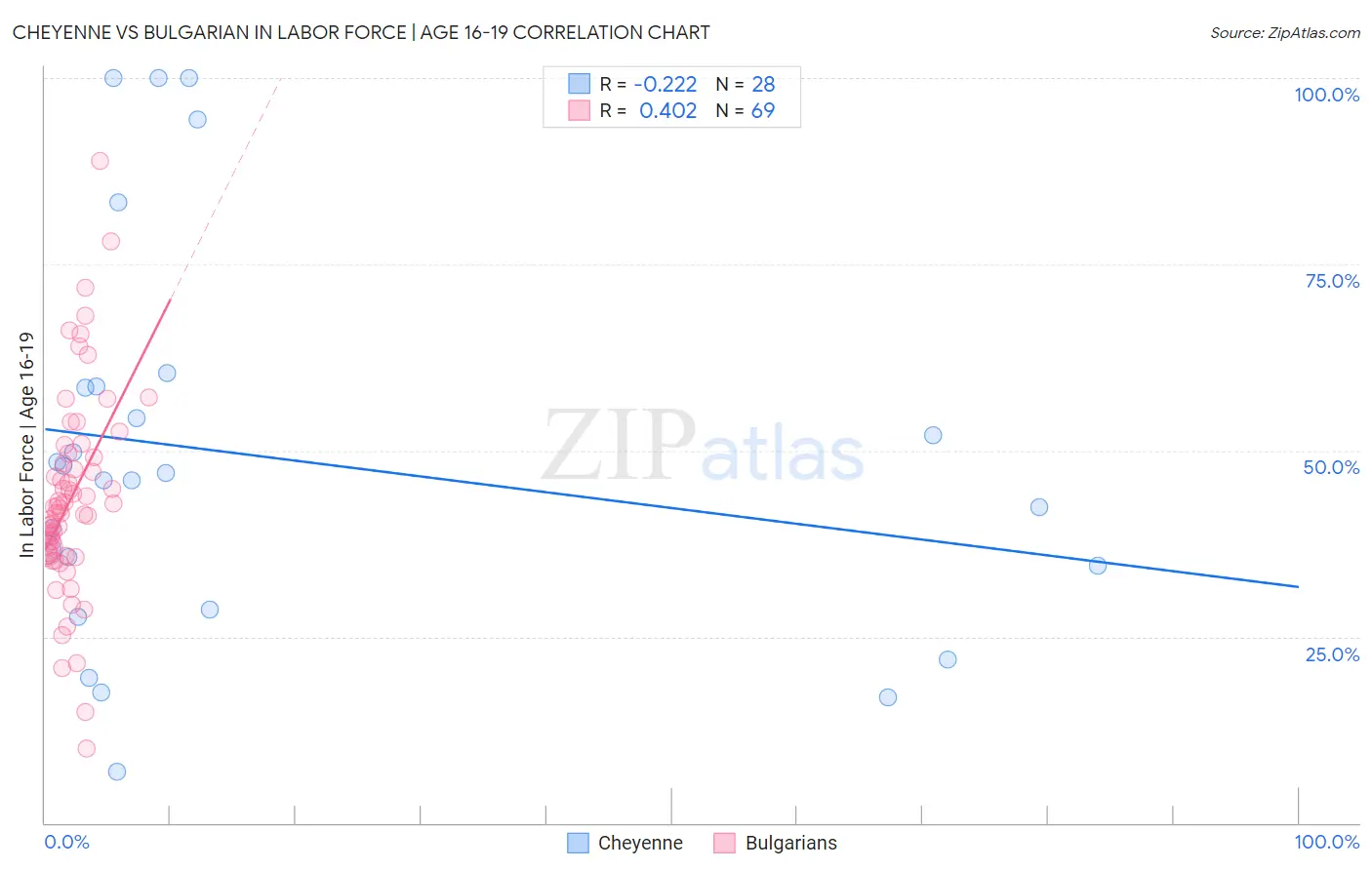 Cheyenne vs Bulgarian In Labor Force | Age 16-19