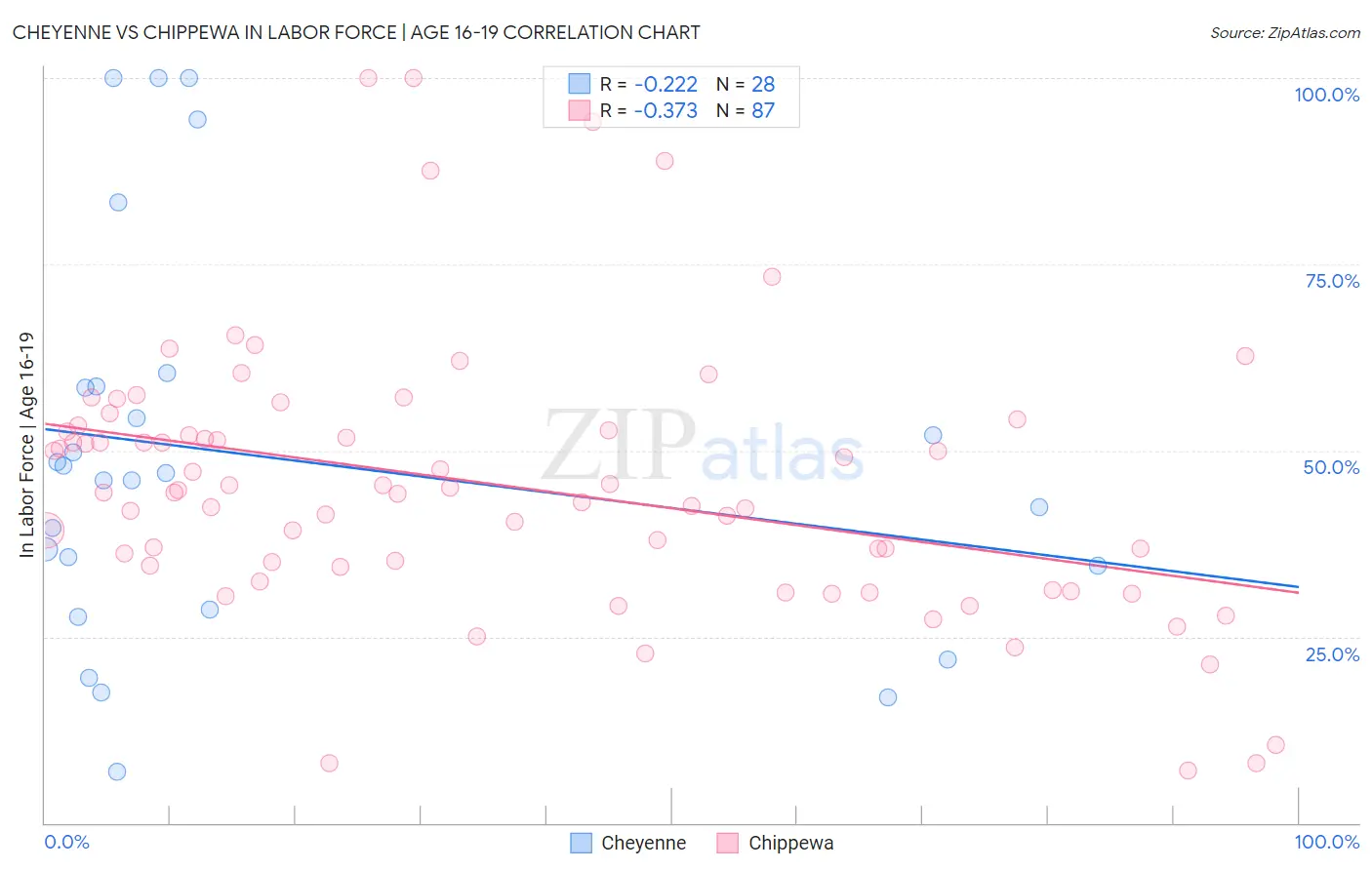 Cheyenne vs Chippewa In Labor Force | Age 16-19