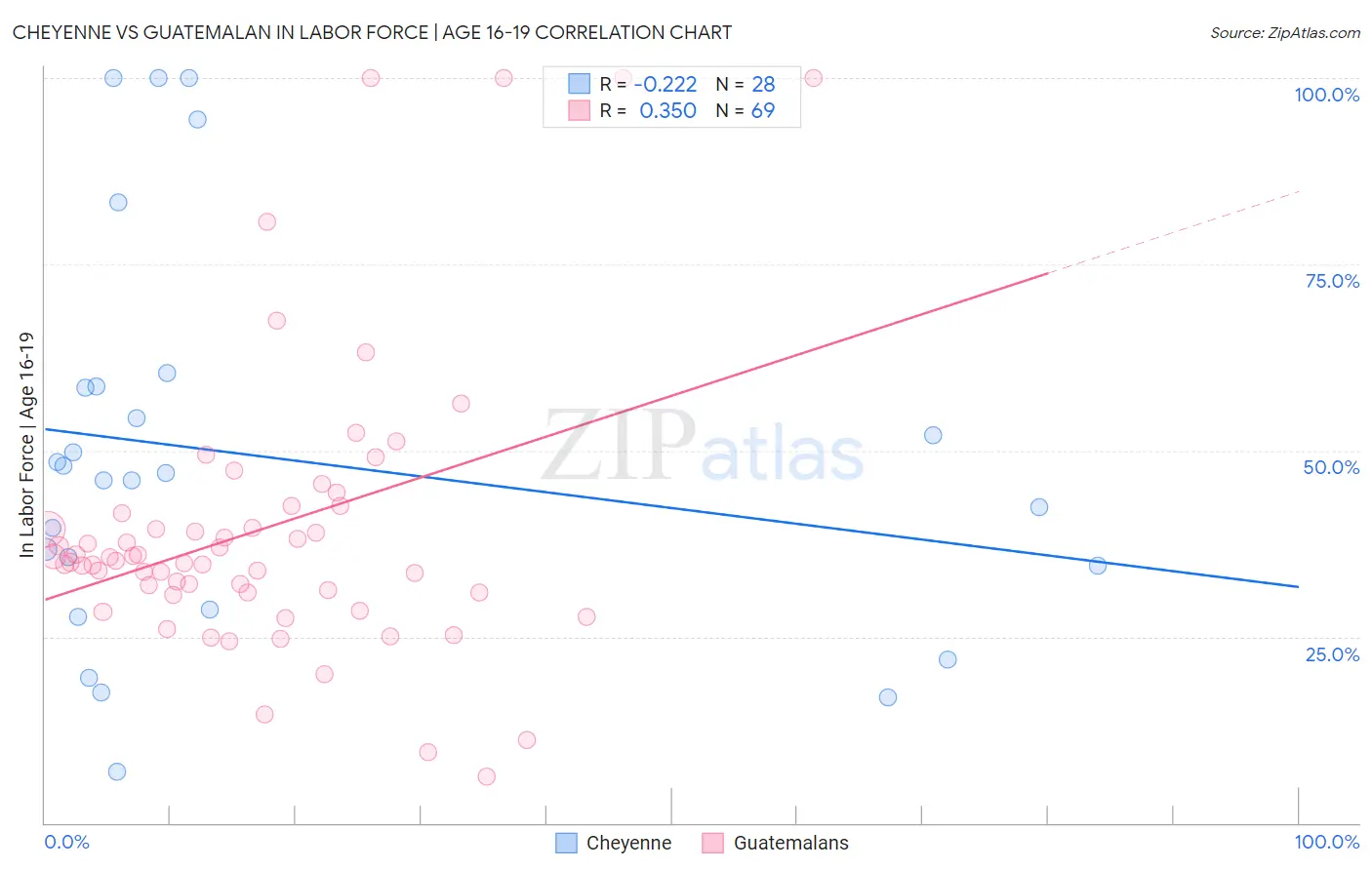 Cheyenne vs Guatemalan In Labor Force | Age 16-19