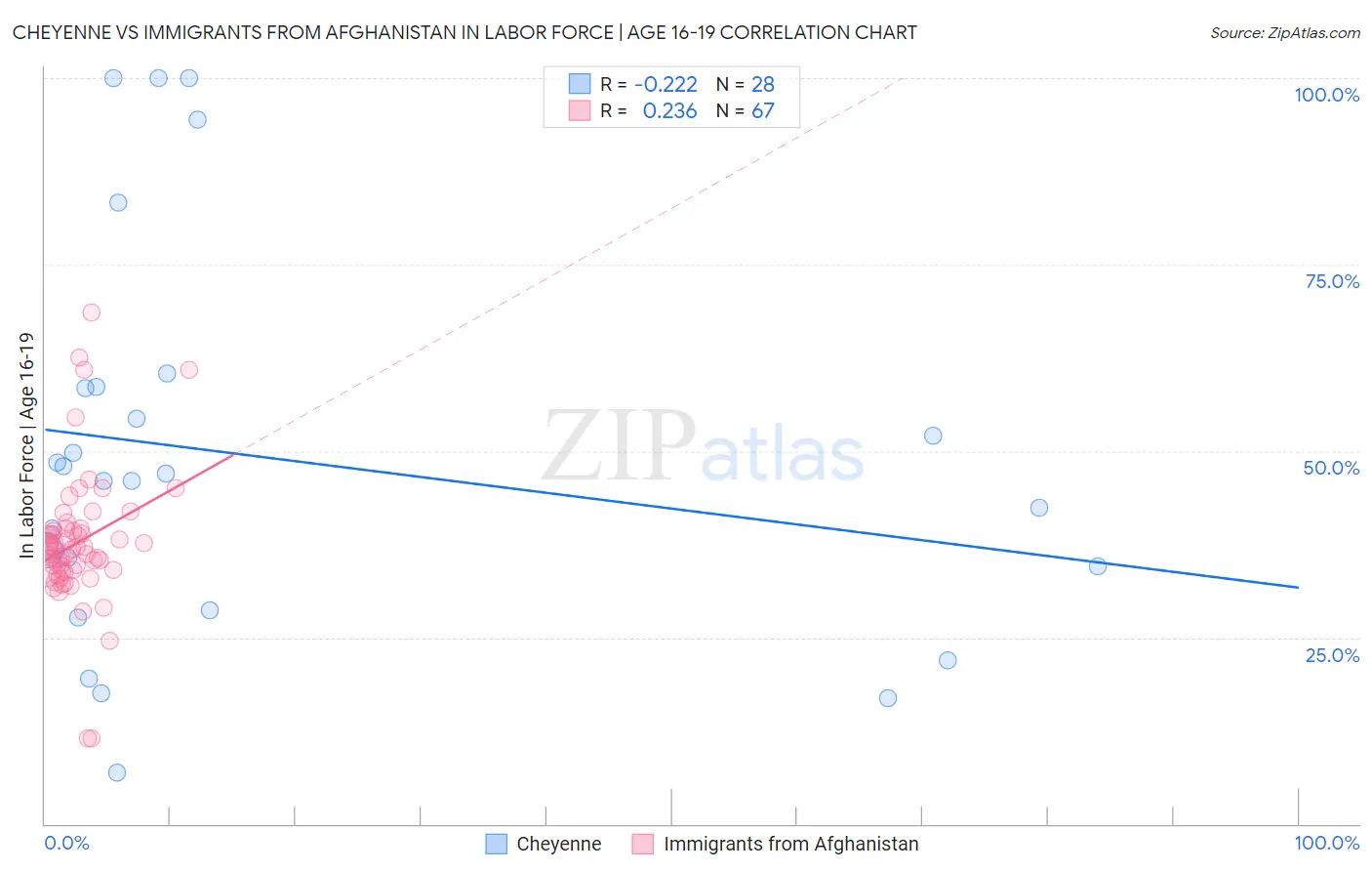 Cheyenne vs Immigrants from Afghanistan In Labor Force | Age 16-19