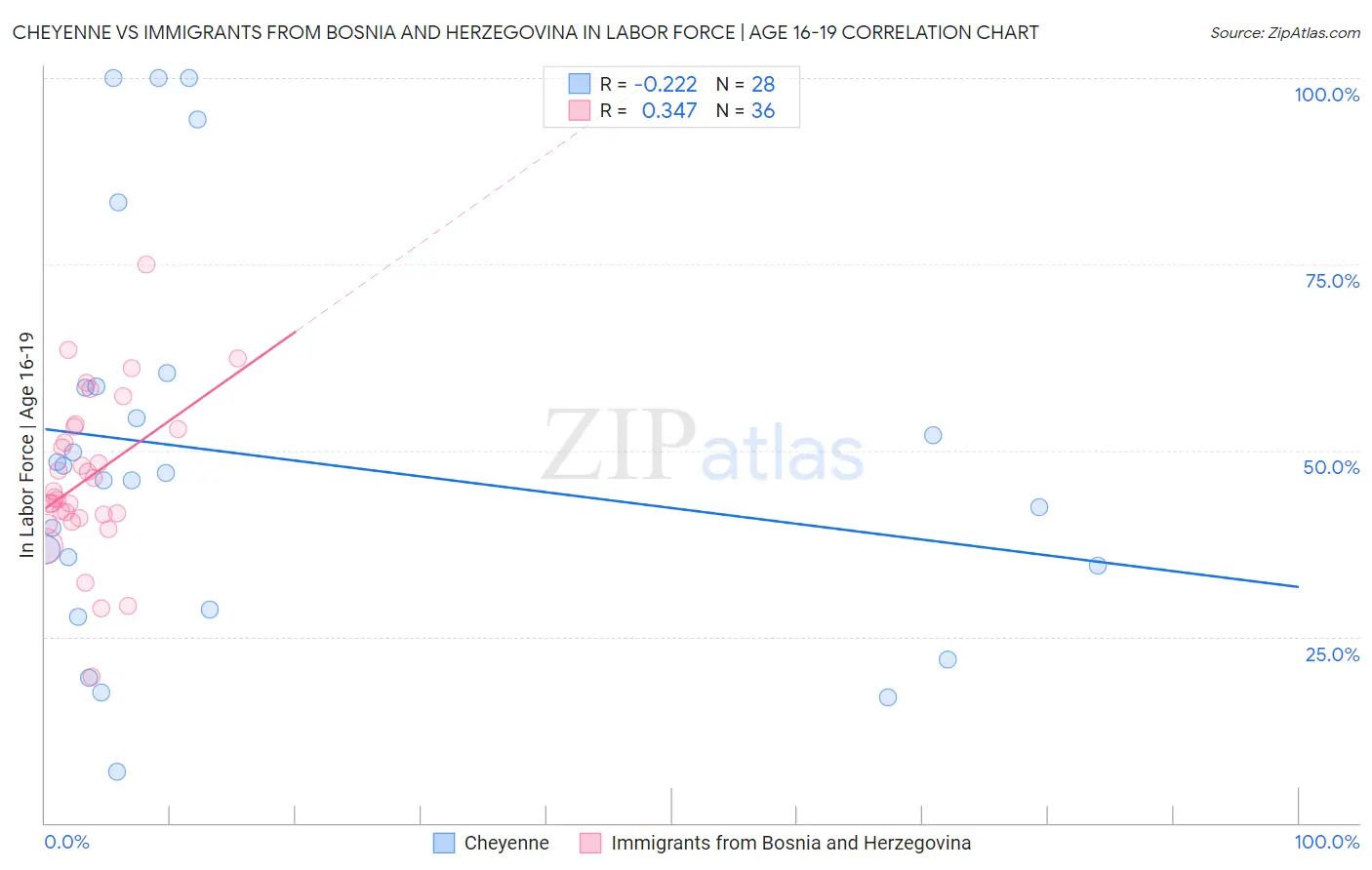 Cheyenne vs Immigrants from Bosnia and Herzegovina In Labor Force | Age 16-19