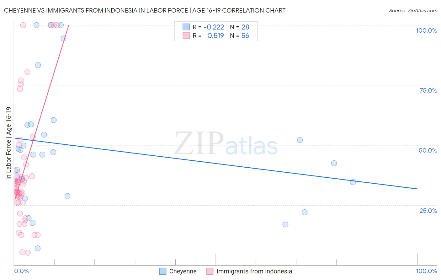 Cheyenne vs Immigrants from Indonesia In Labor Force | Age 16-19