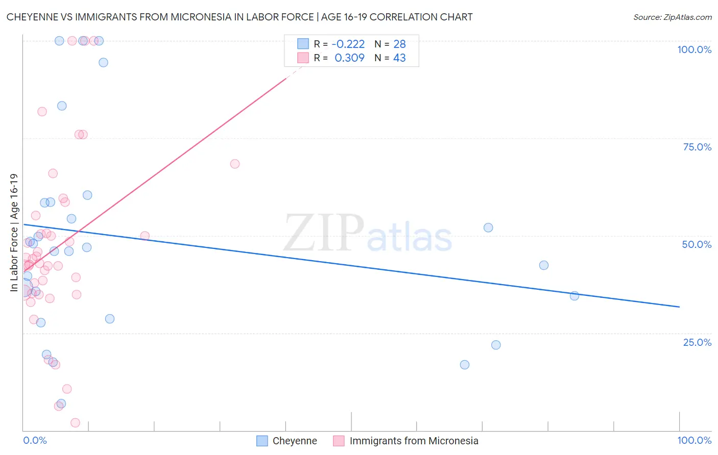 Cheyenne vs Immigrants from Micronesia In Labor Force | Age 16-19