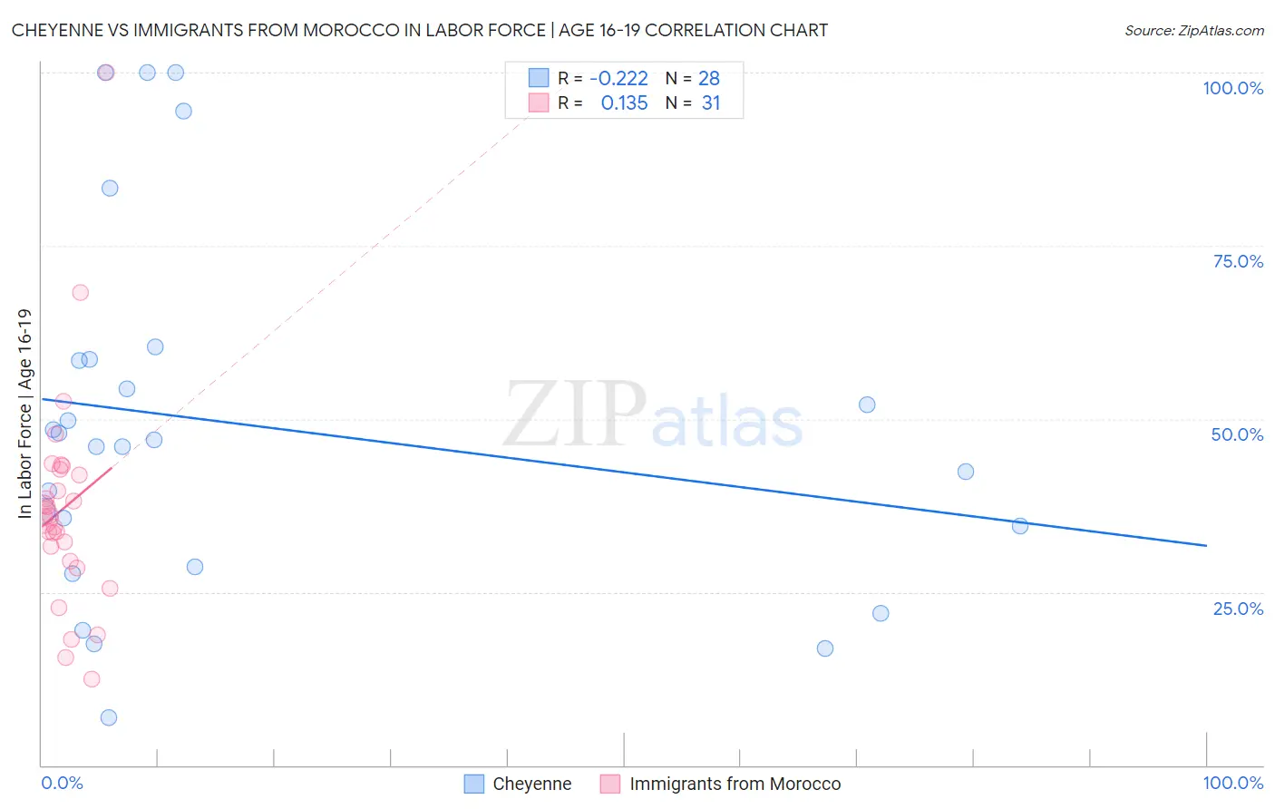 Cheyenne vs Immigrants from Morocco In Labor Force | Age 16-19