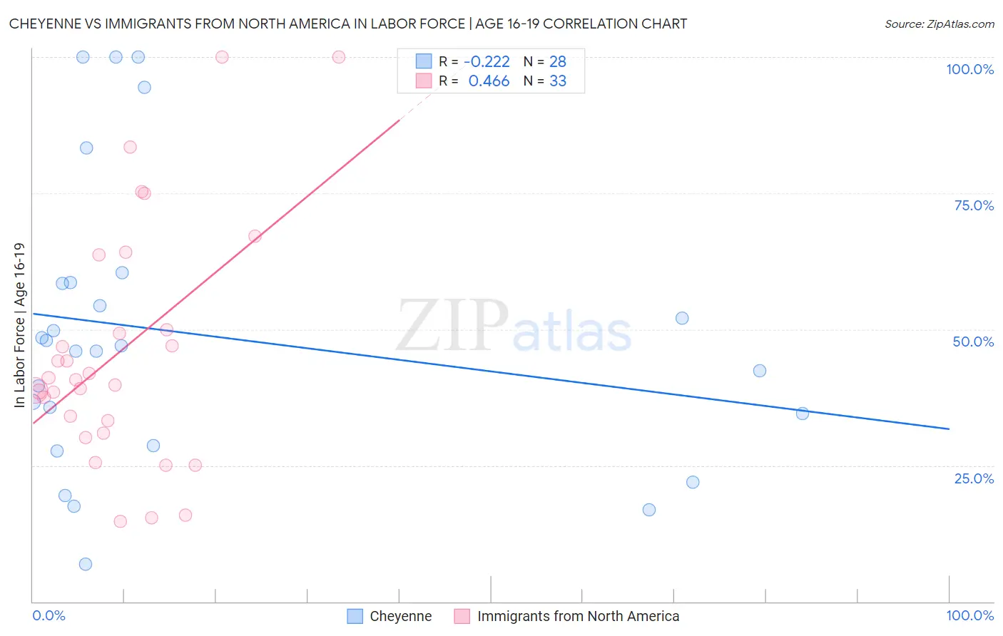 Cheyenne vs Immigrants from North America In Labor Force | Age 16-19