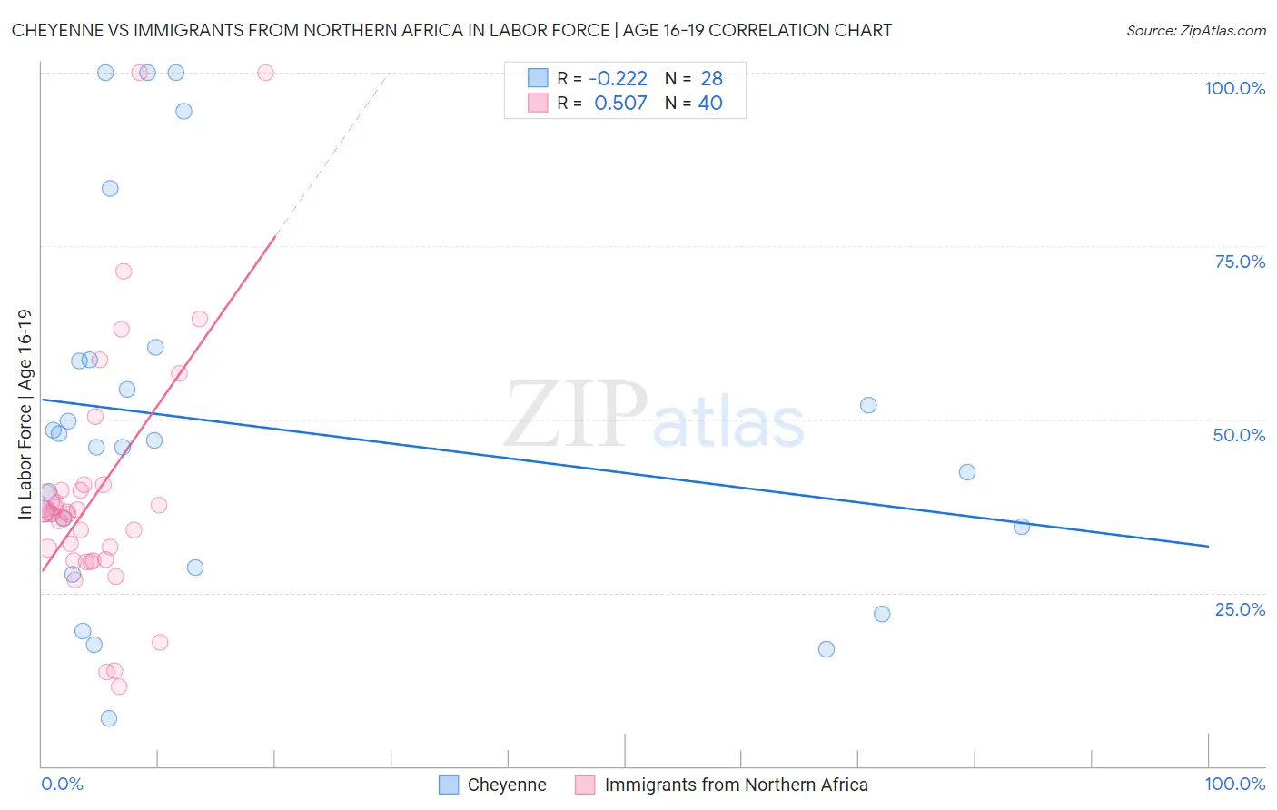Cheyenne vs Immigrants from Northern Africa In Labor Force | Age 16-19