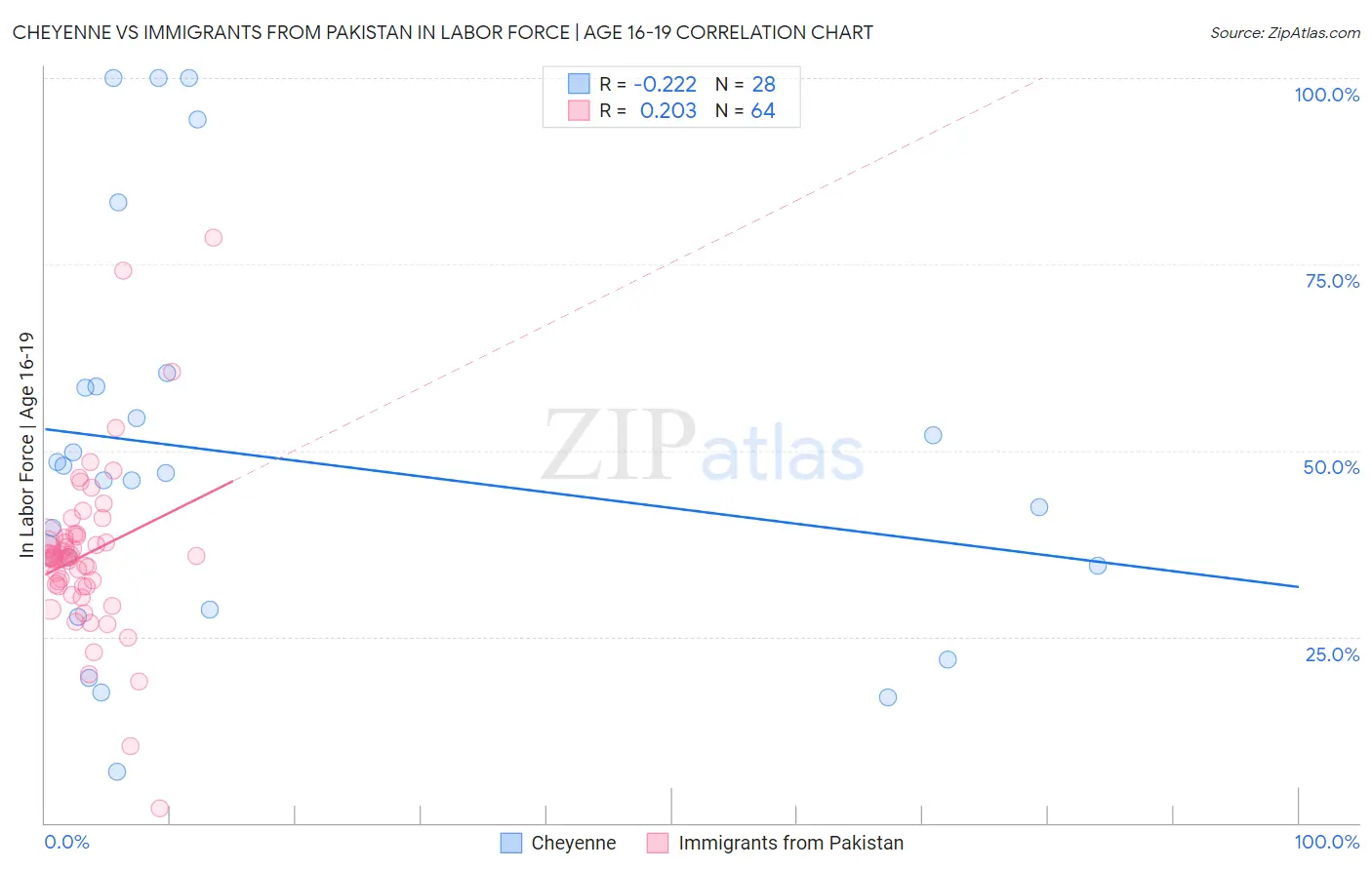 Cheyenne vs Immigrants from Pakistan In Labor Force | Age 16-19