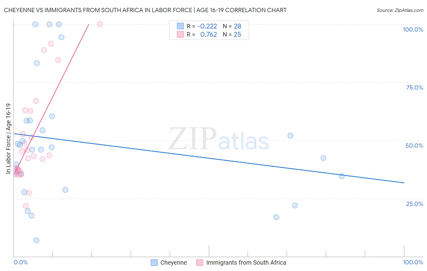 Cheyenne vs Immigrants from South Africa In Labor Force | Age 16-19