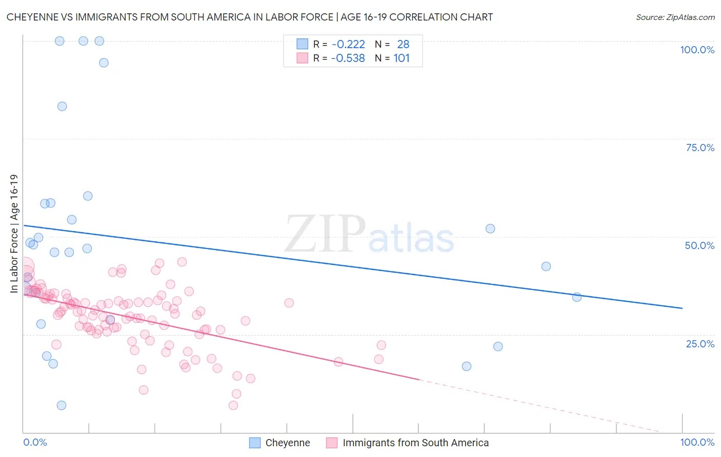Cheyenne vs Immigrants from South America In Labor Force | Age 16-19
