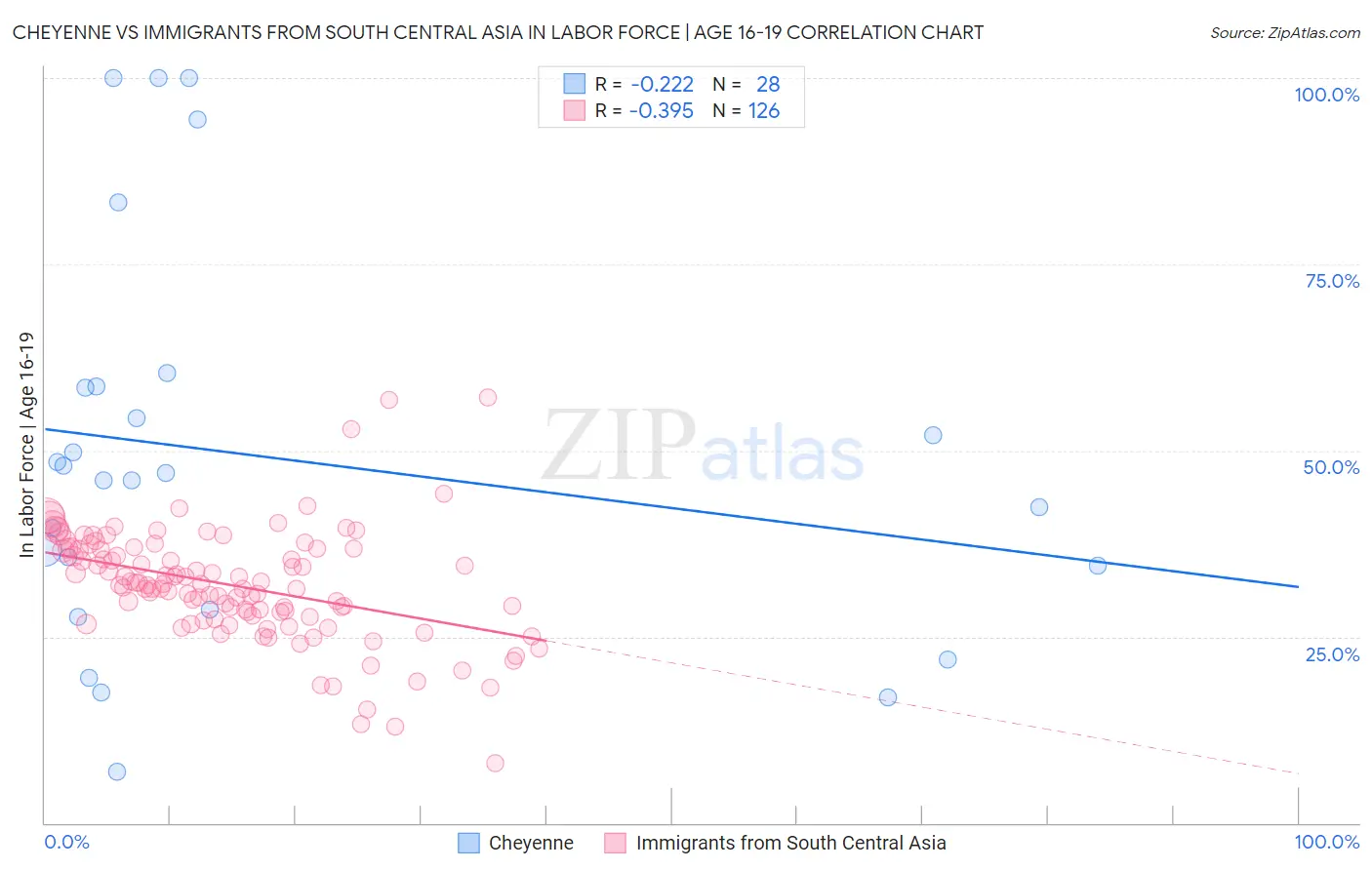Cheyenne vs Immigrants from South Central Asia In Labor Force | Age 16-19