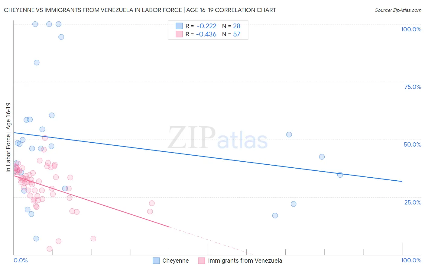 Cheyenne vs Immigrants from Venezuela In Labor Force | Age 16-19