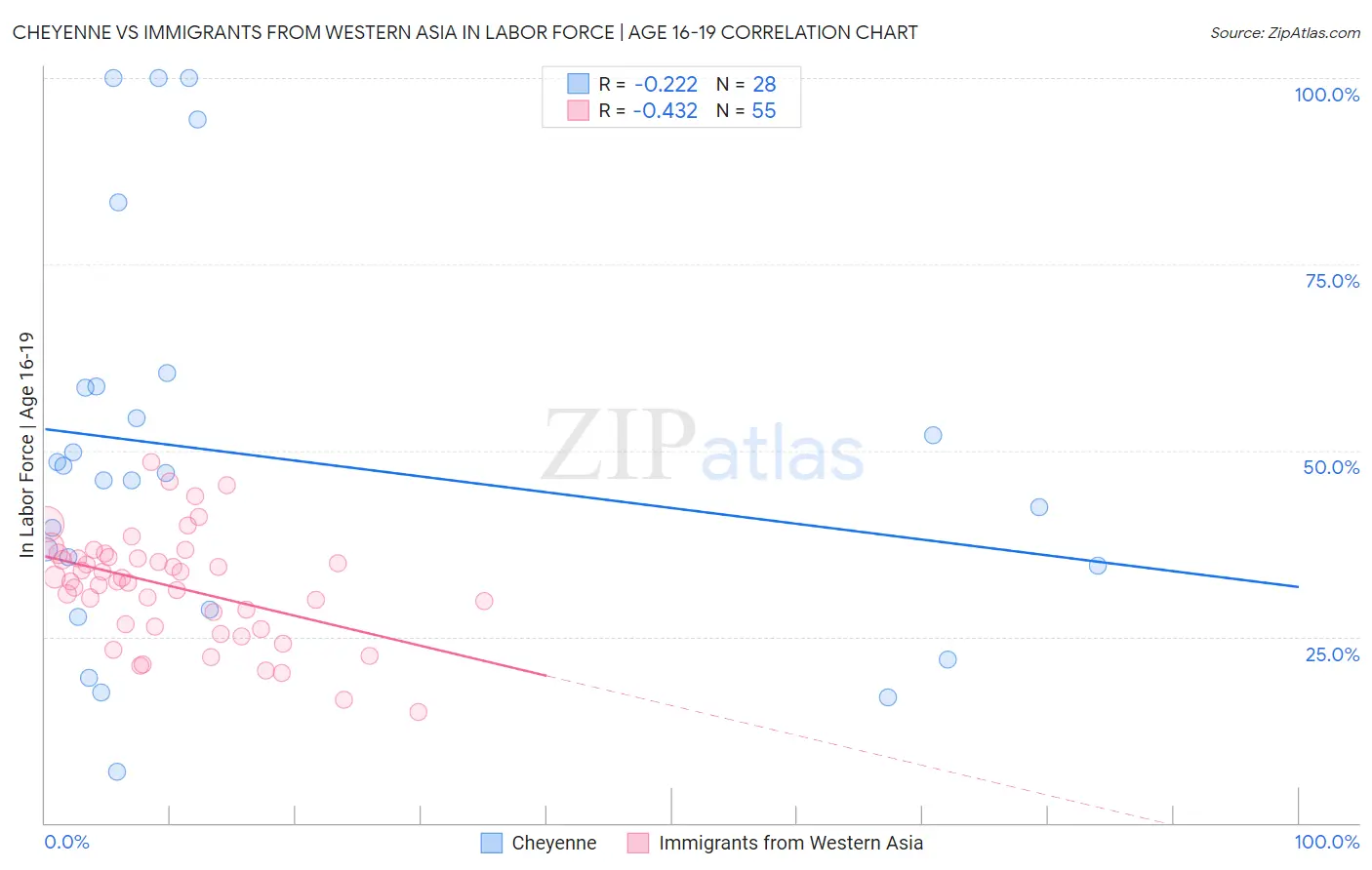Cheyenne vs Immigrants from Western Asia In Labor Force | Age 16-19