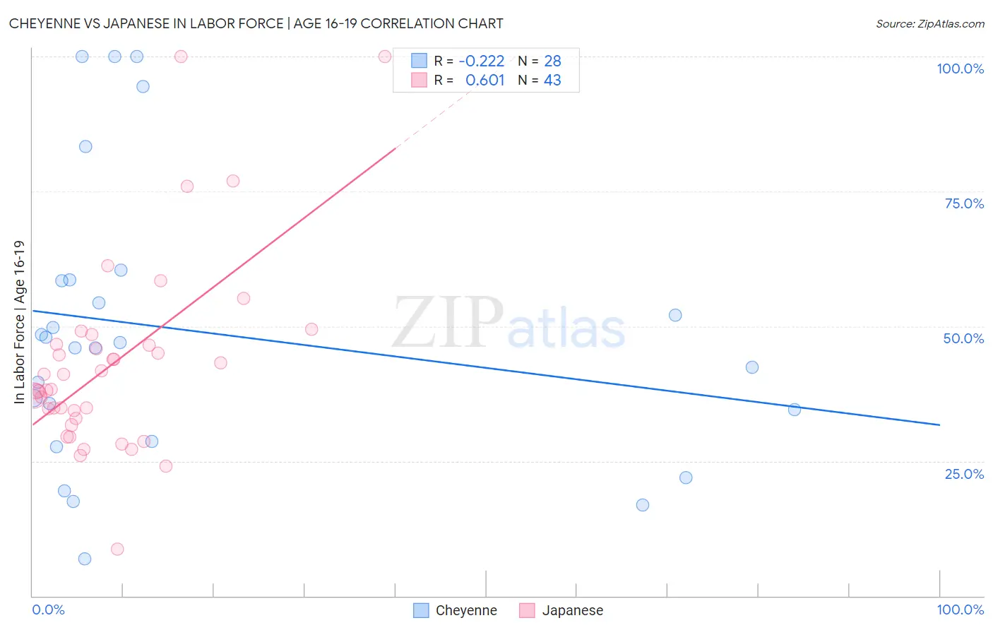 Cheyenne vs Japanese In Labor Force | Age 16-19