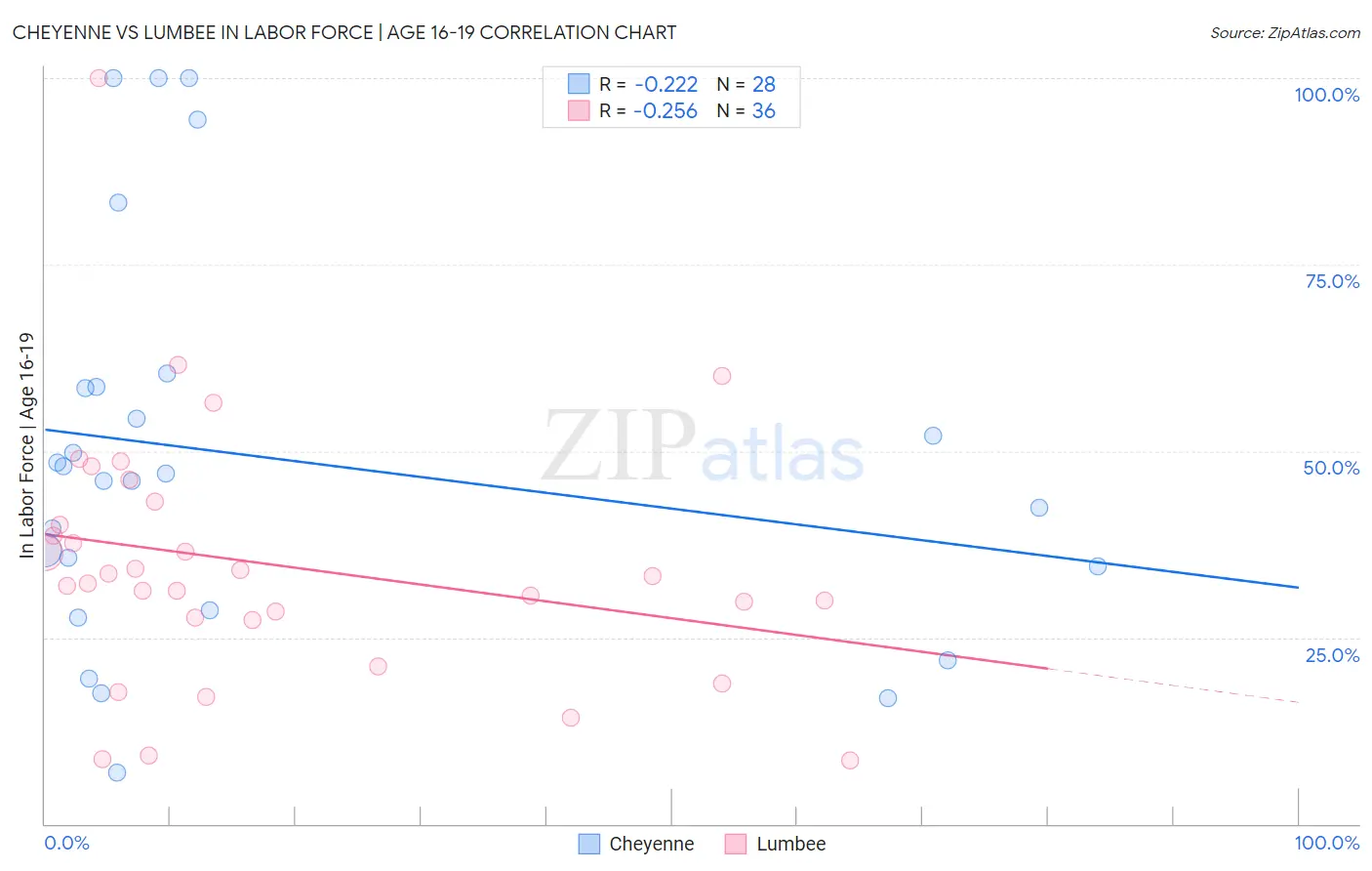 Cheyenne vs Lumbee In Labor Force | Age 16-19