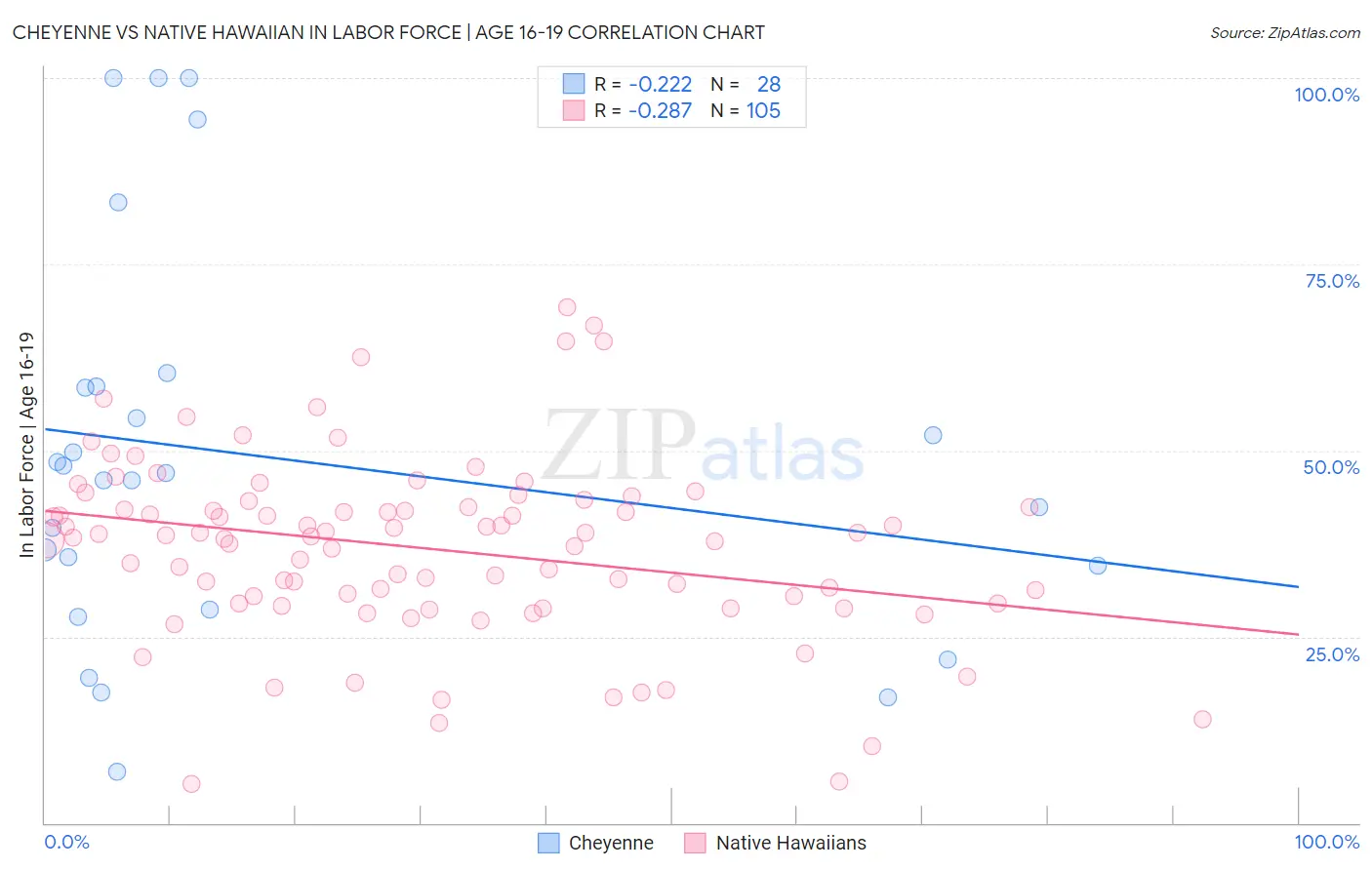 Cheyenne vs Native Hawaiian In Labor Force | Age 16-19