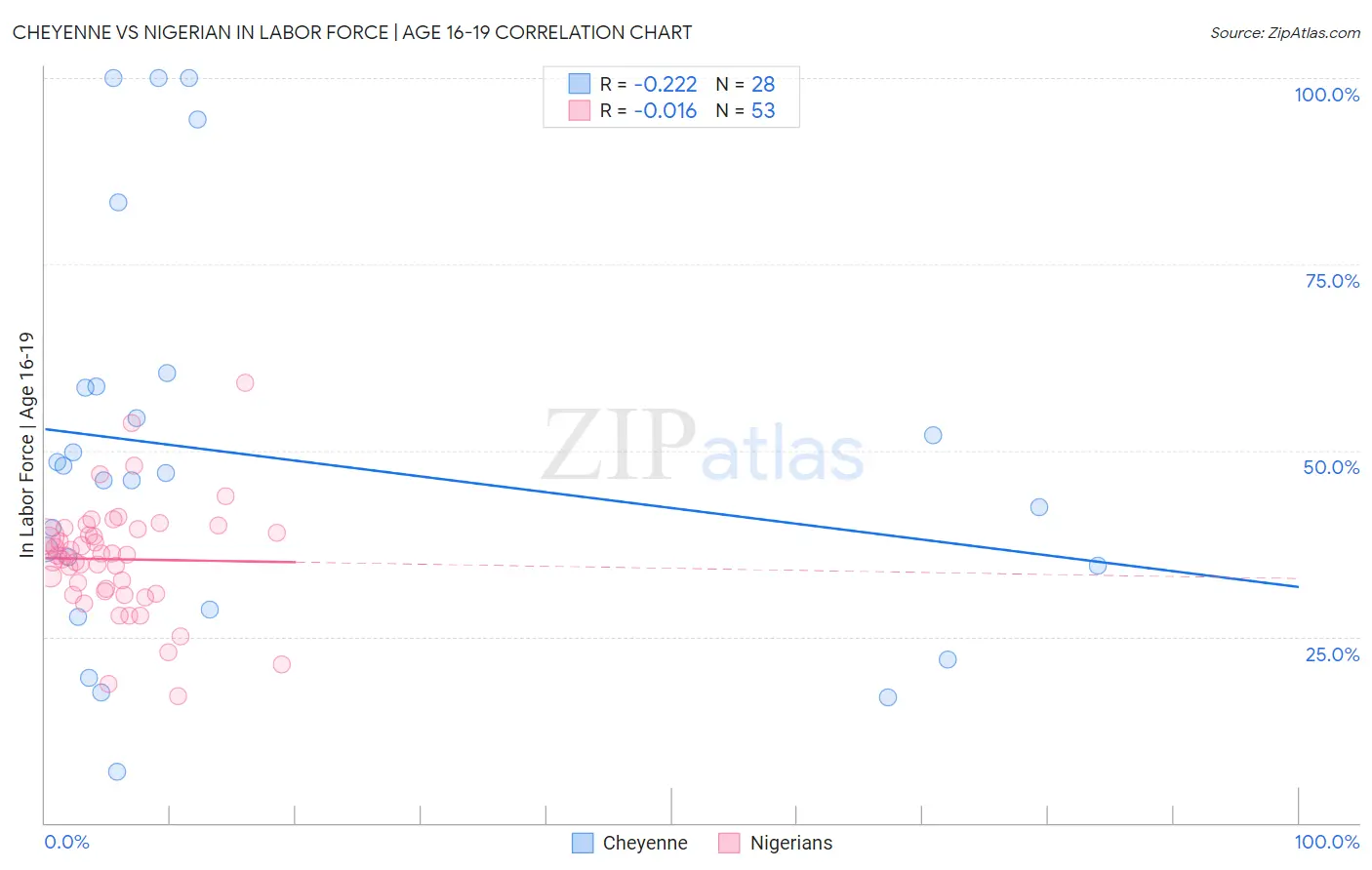 Cheyenne vs Nigerian In Labor Force | Age 16-19
