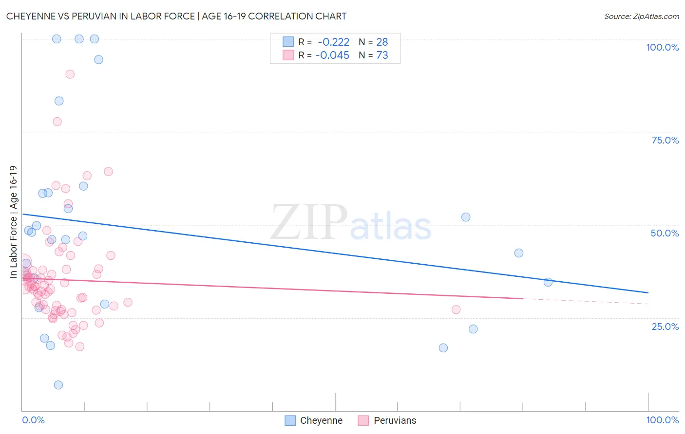 Cheyenne vs Peruvian In Labor Force | Age 16-19